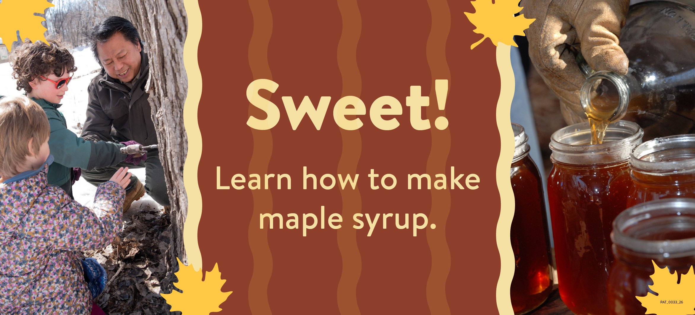 Minnesota State Park Naturalists to Host Maple Syruping Programs This Spring