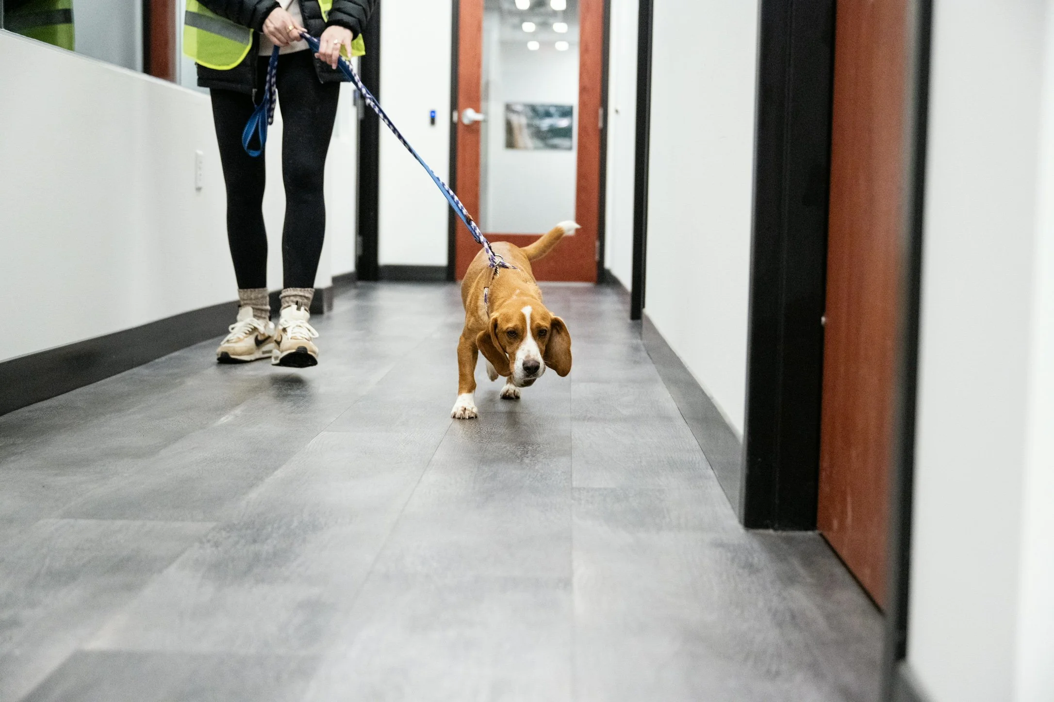 Plane Transport Feb 2026-87.jpg