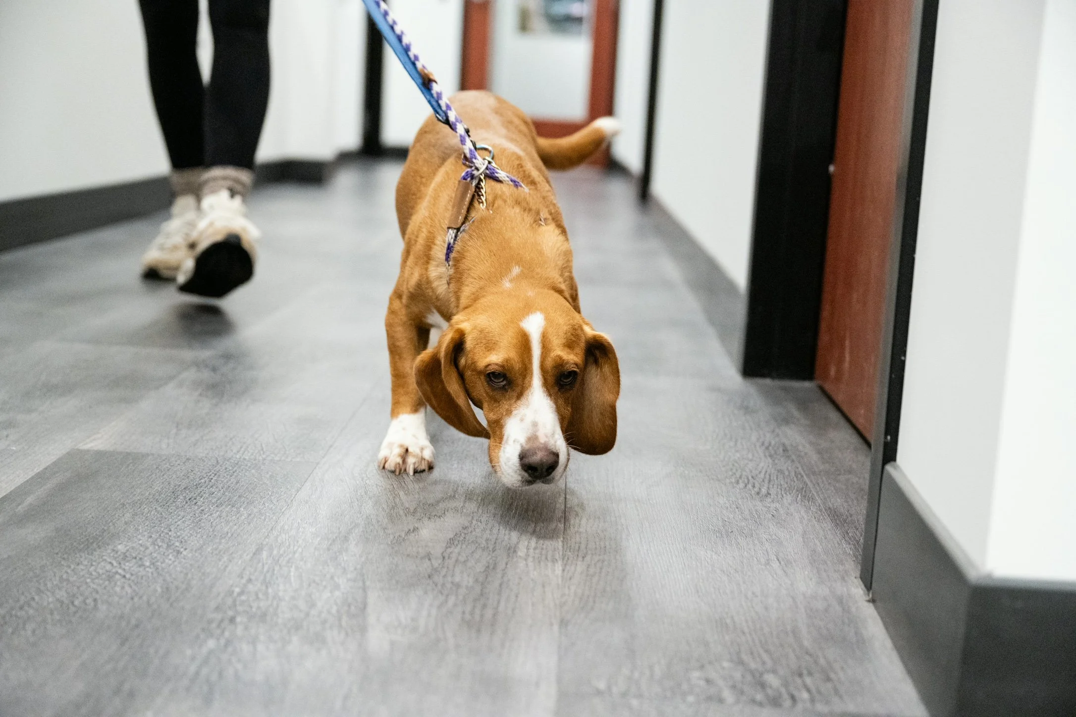 Plane Transport Feb 2026-89.jpg