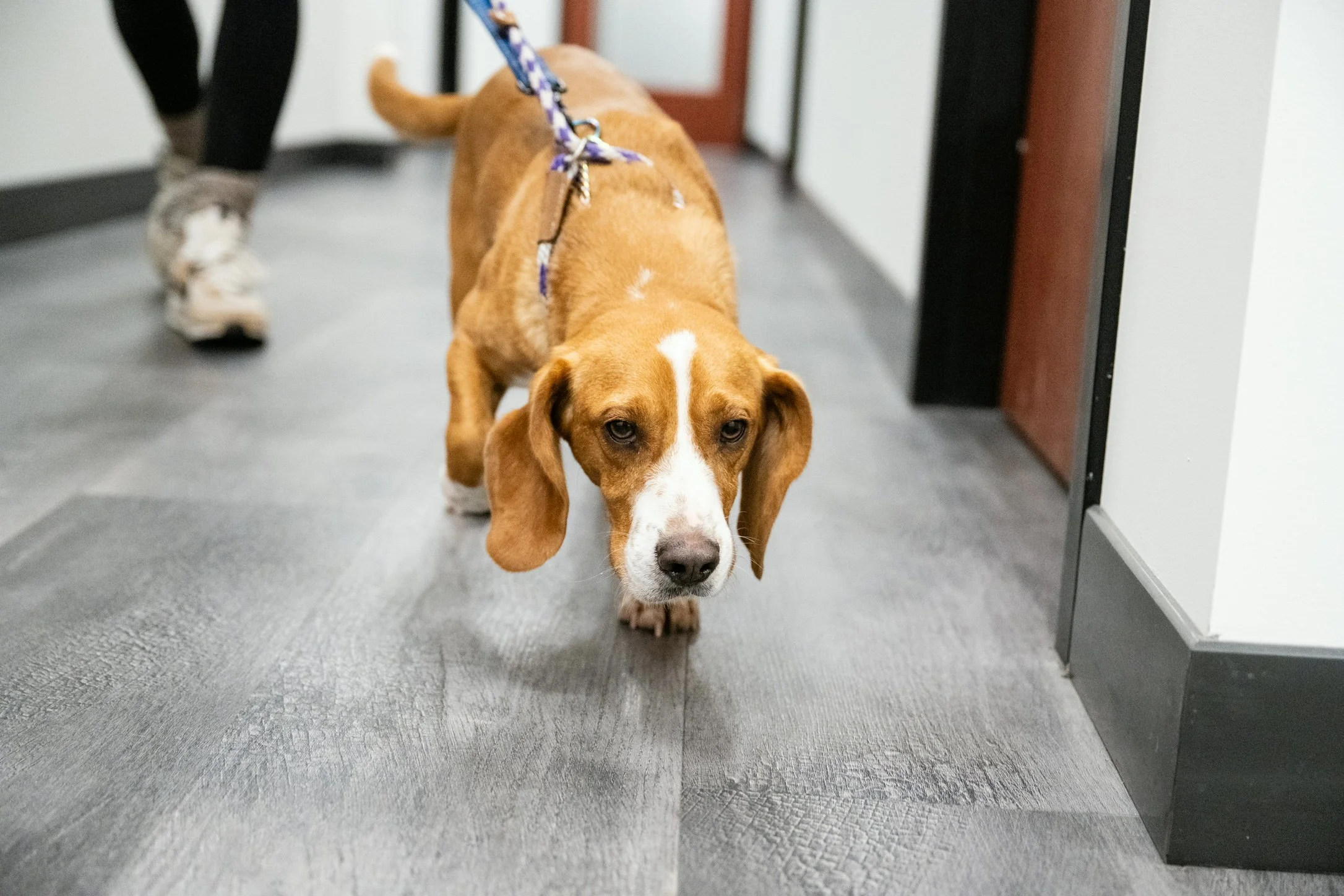 Plane Transport Feb 2026-90.jpg