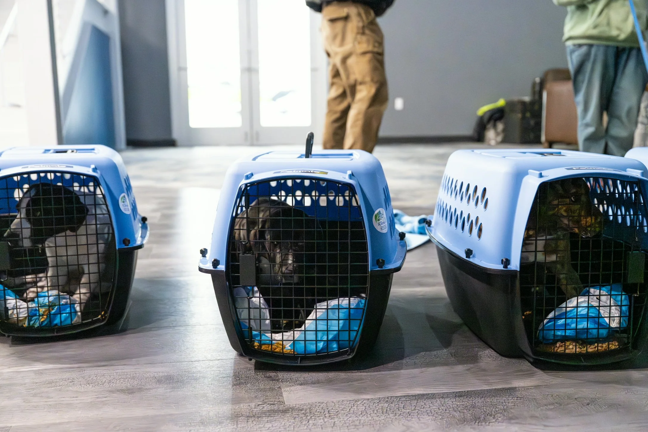 Plane Transport Feb 2026-163.jpg