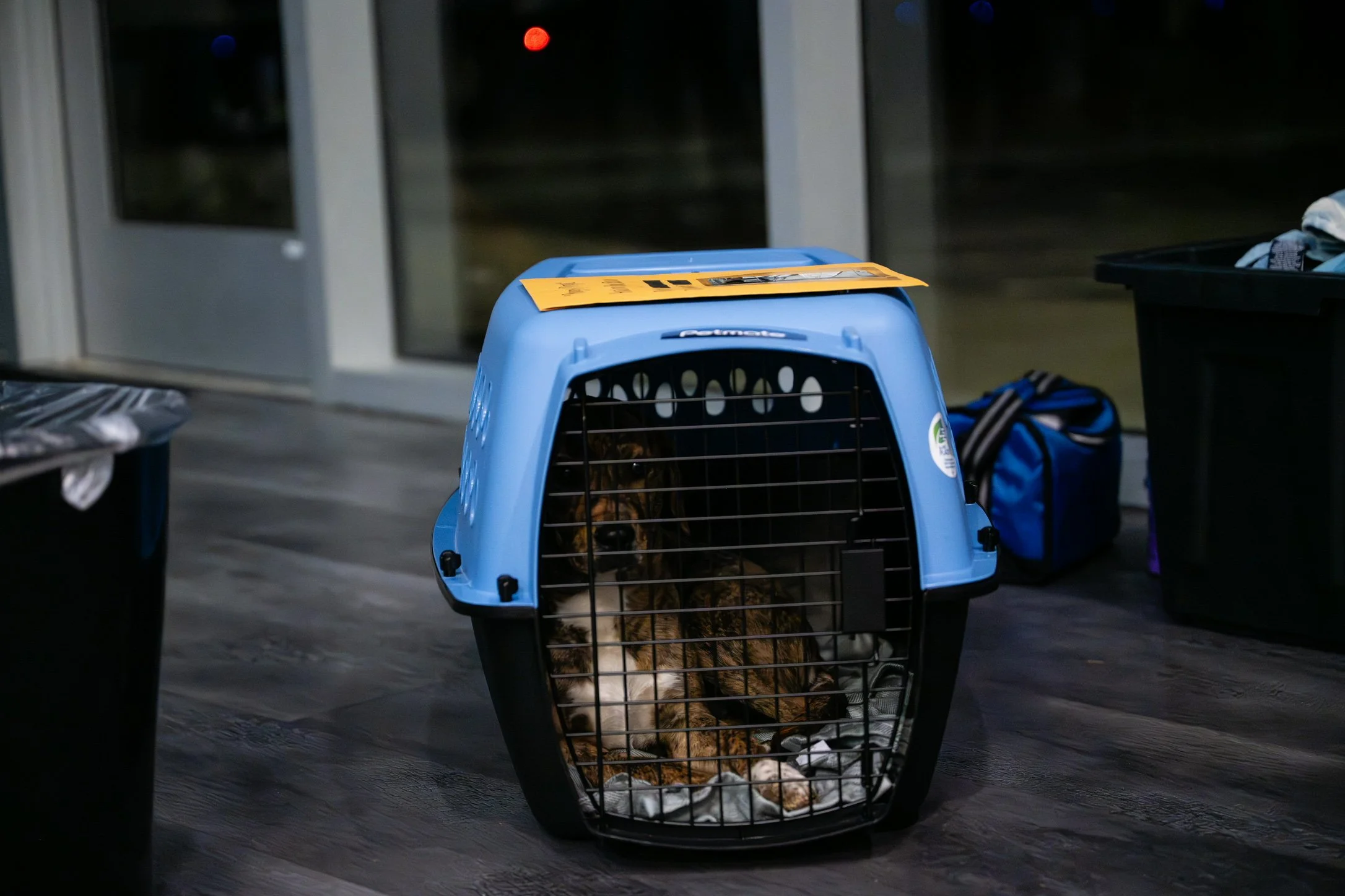 Plane Transport Feb 2026-215.jpg