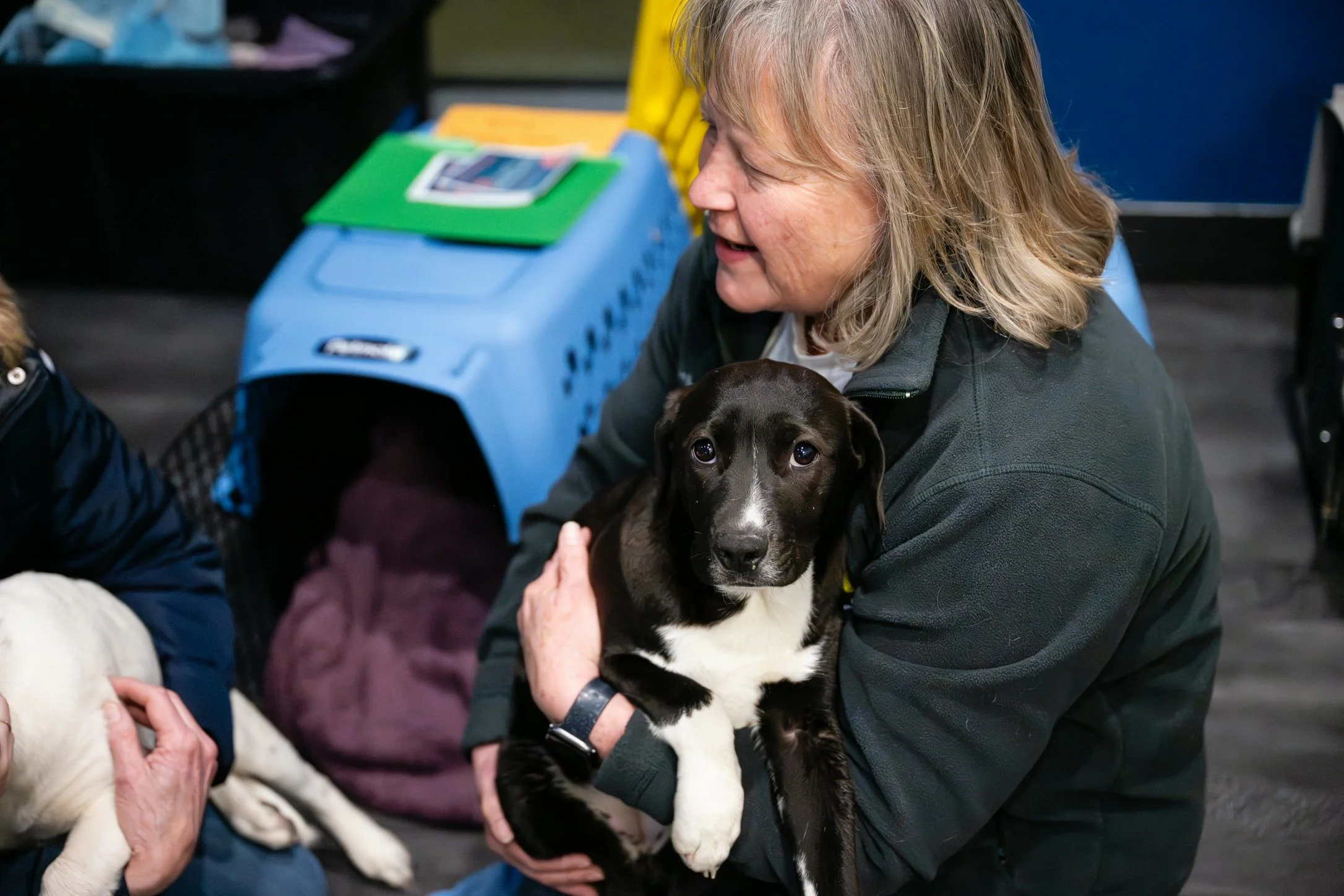 Plane Transport Feb 2026-251.jpg