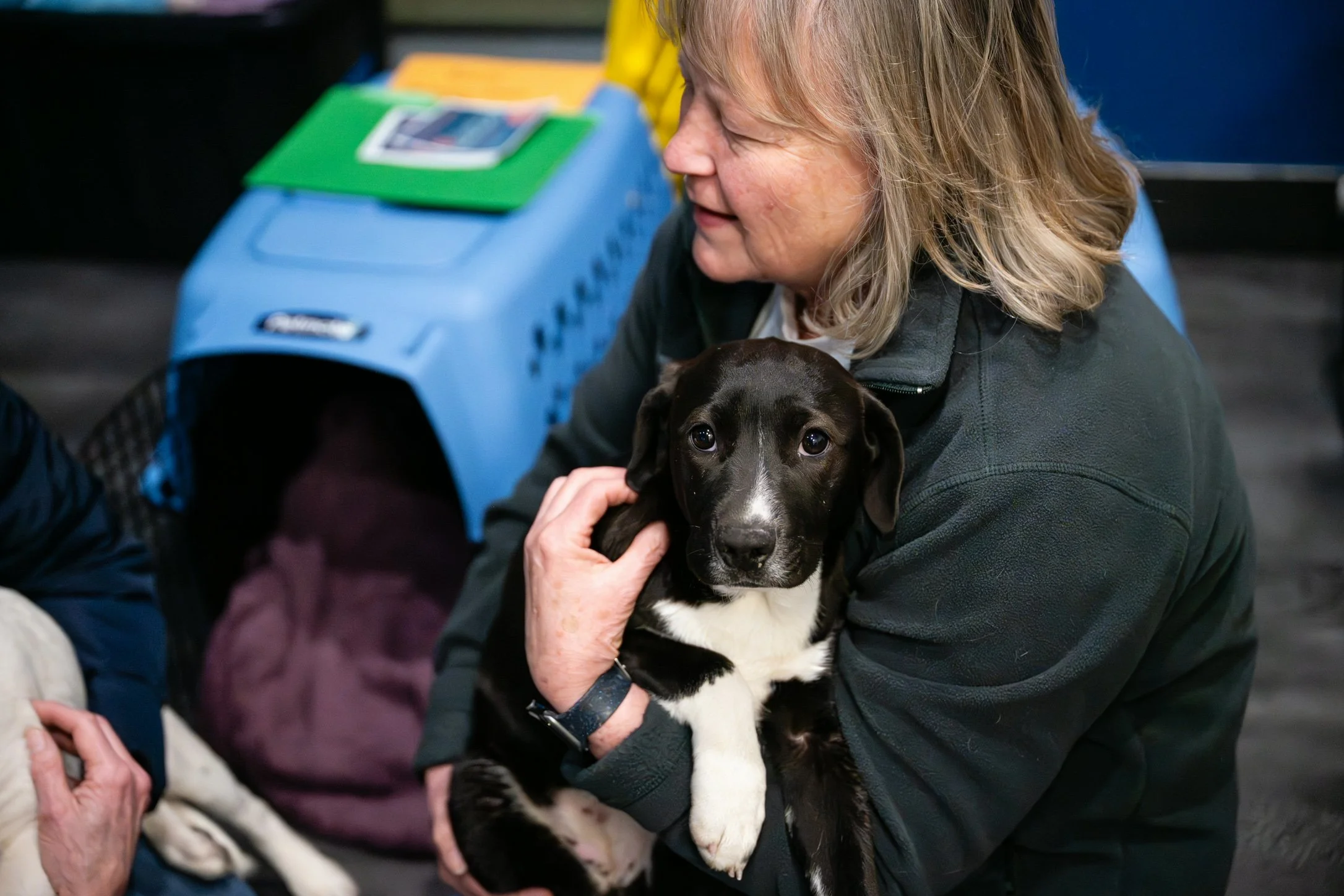 Plane Transport Feb 2026-252.jpg