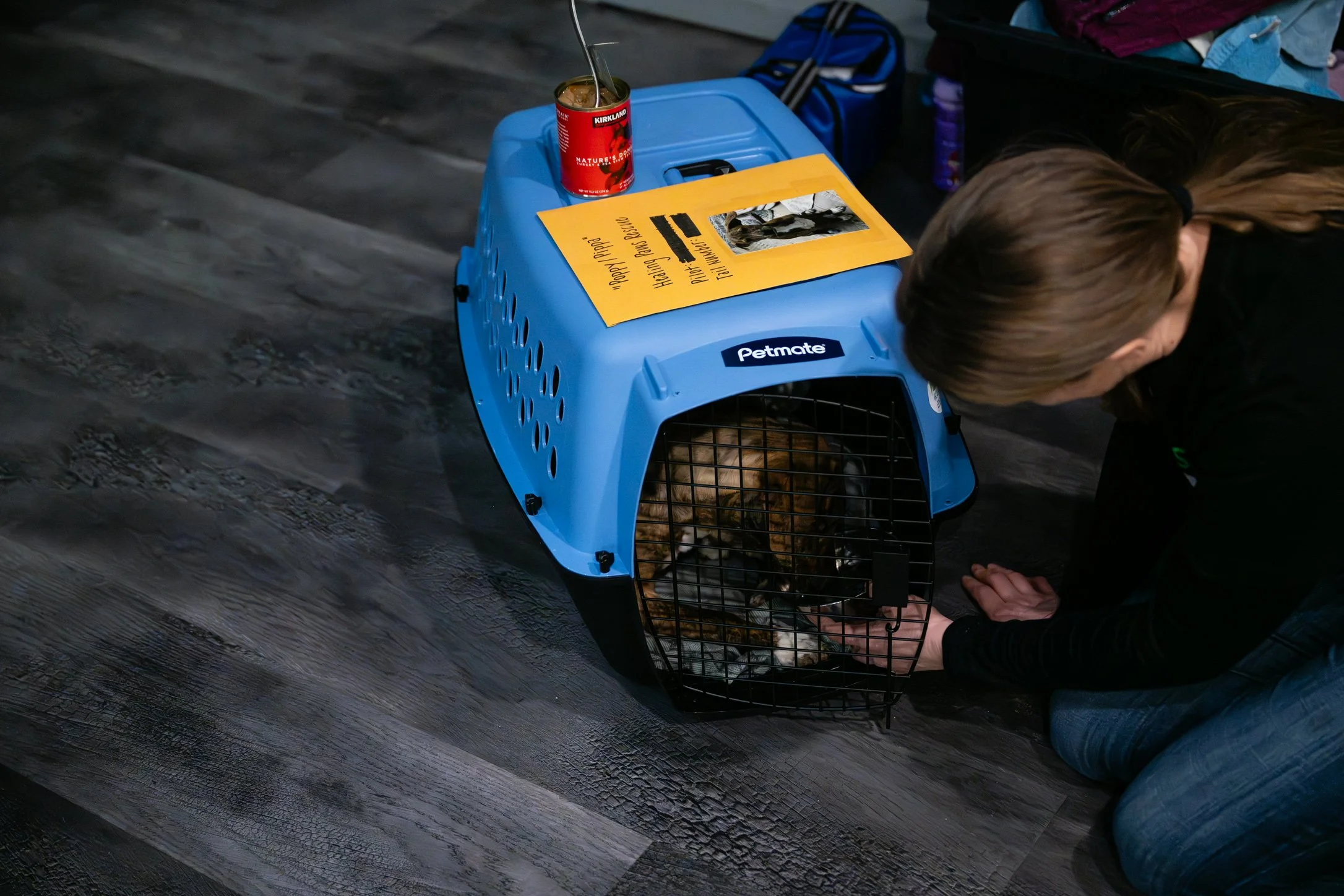 Plane Transport Feb 2026-258.jpg