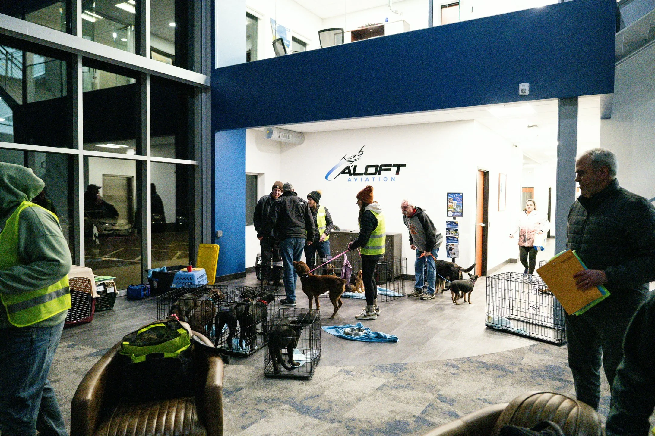 71 Dogs Were Flown into Lakeville’s Airlake Airport, Saving Them From Euthanasia