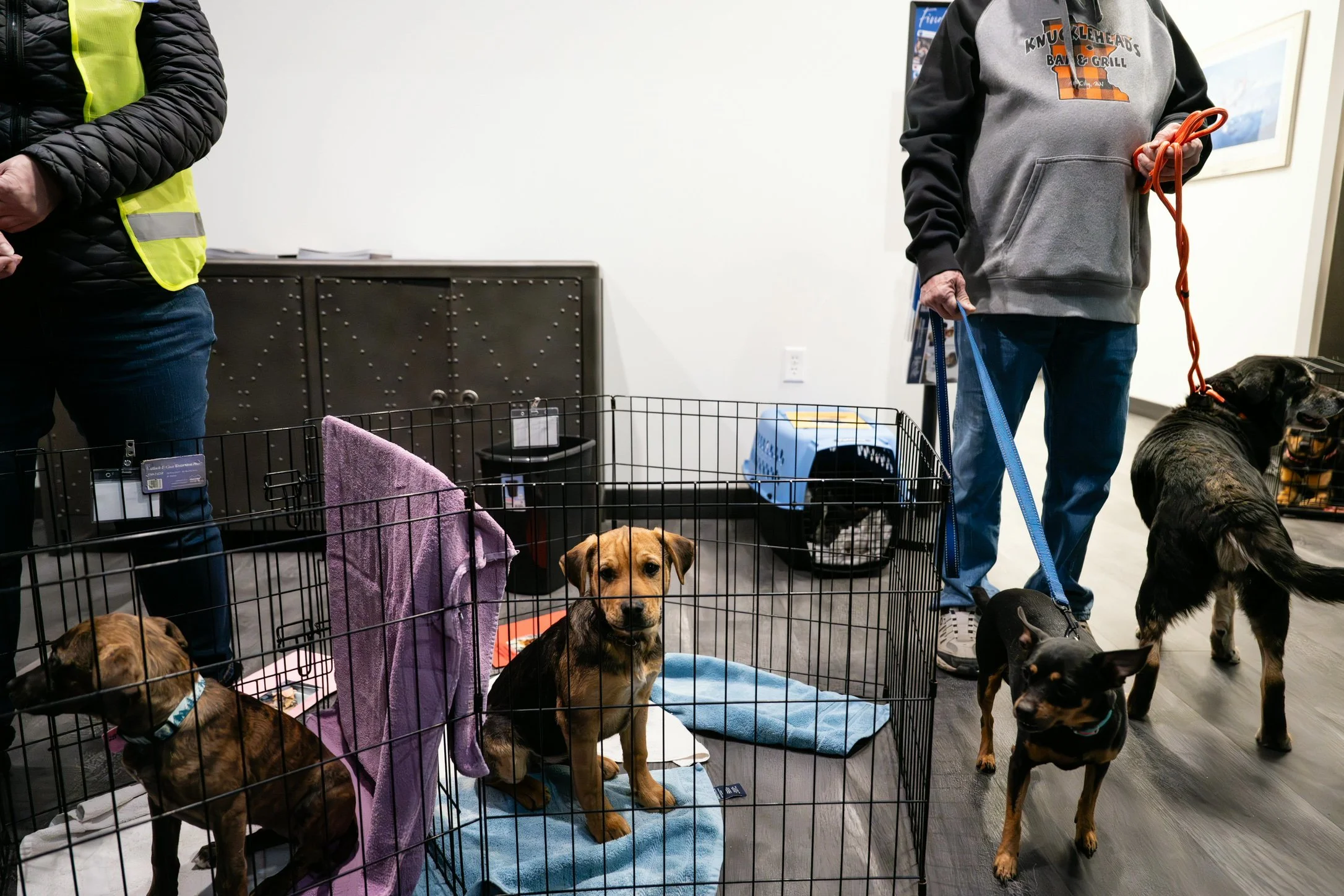 Plane Transport Feb 2026-373.jpg