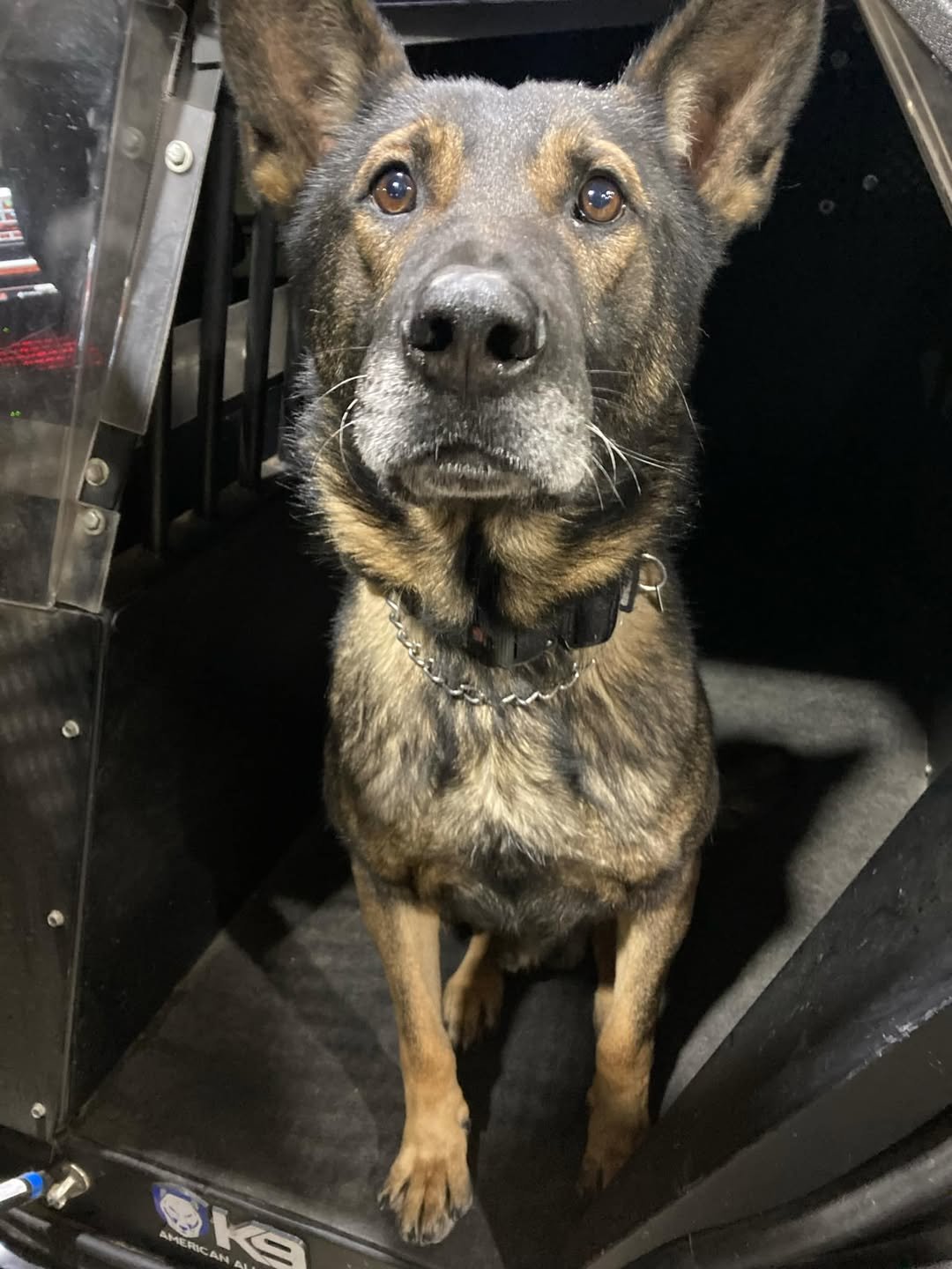 Crystal Police Department K9 “Ace” Tracks Suspect to Recycling Bin After Stolen Vehicle Flee