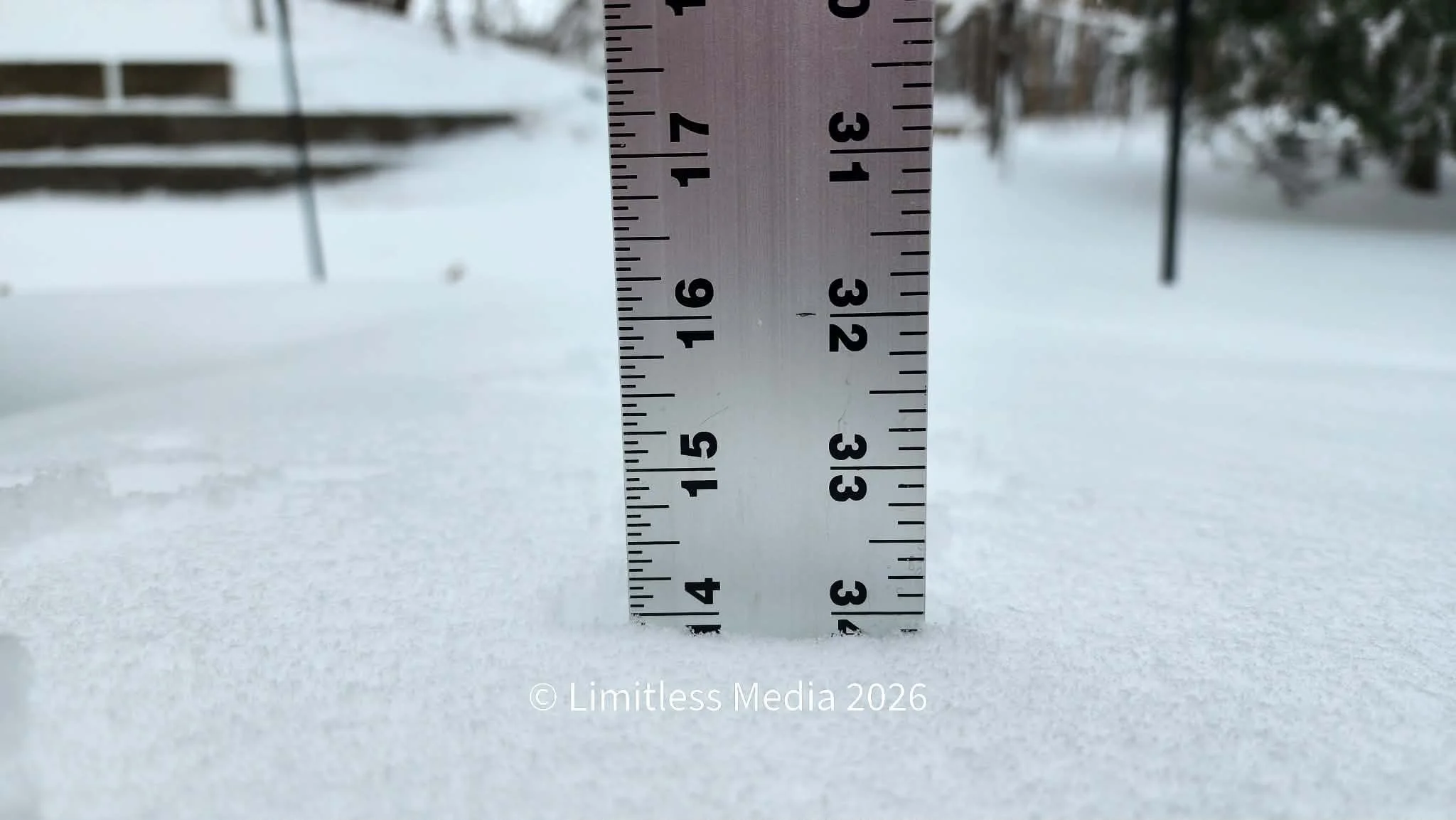 Apple Valley, MN 14" Snowfall Total