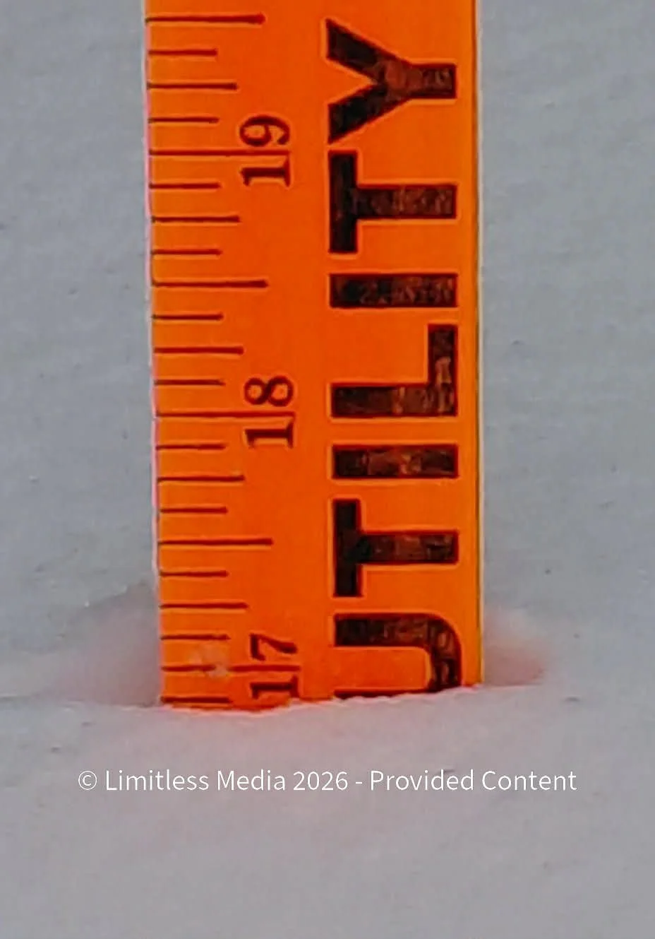 Rosemount, MN 16.9" Snowfall Total