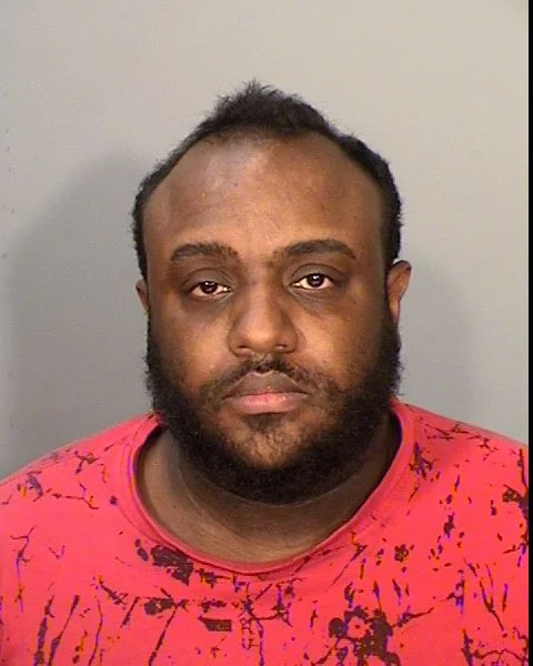 St. Paul Man Charged in Fatal Hit-and-Run That Killed Lisa Giuere