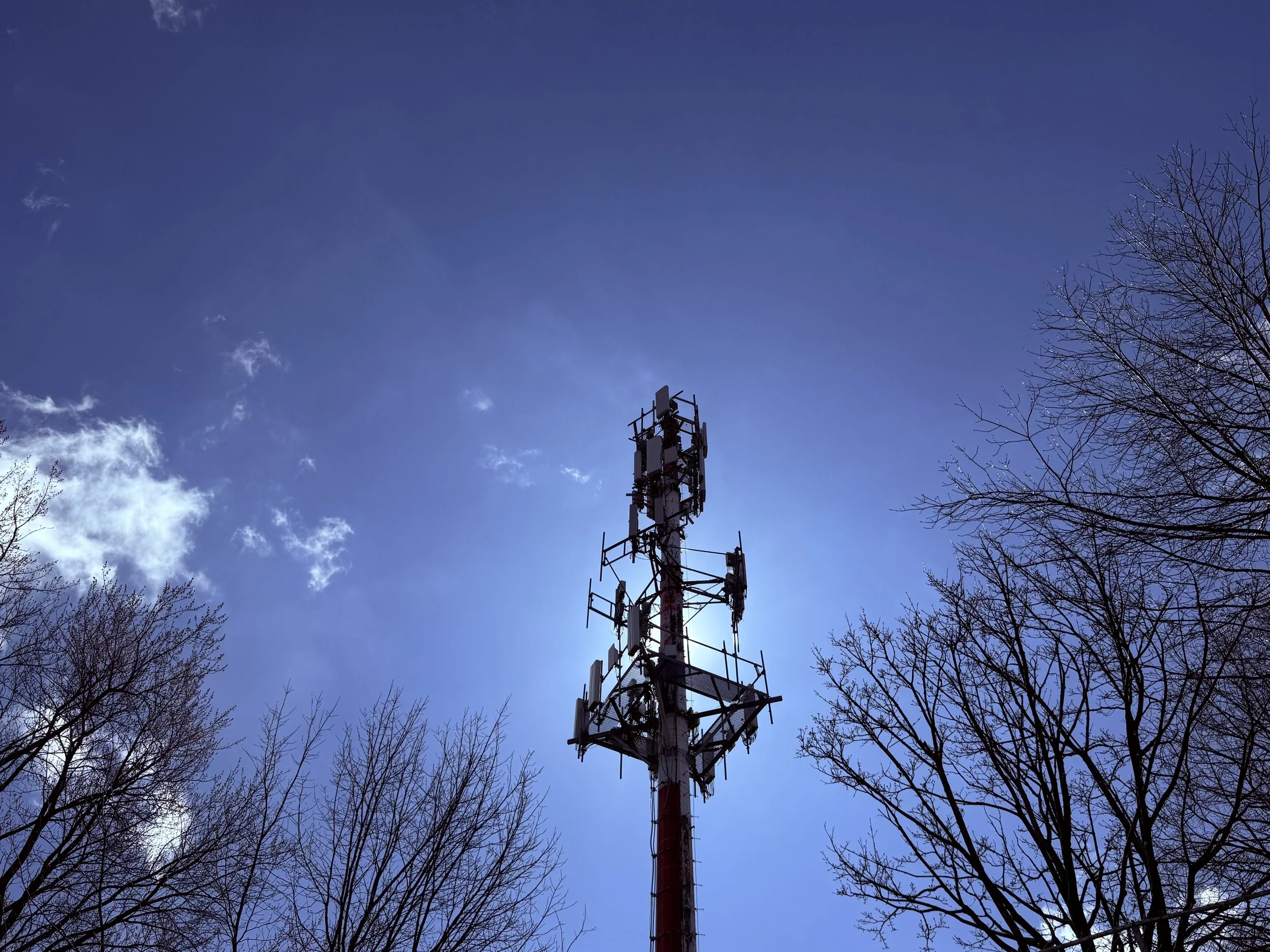 Residents voice opposition as 149-foot cell tower proposed for Wentworth Park in Mendota Heights