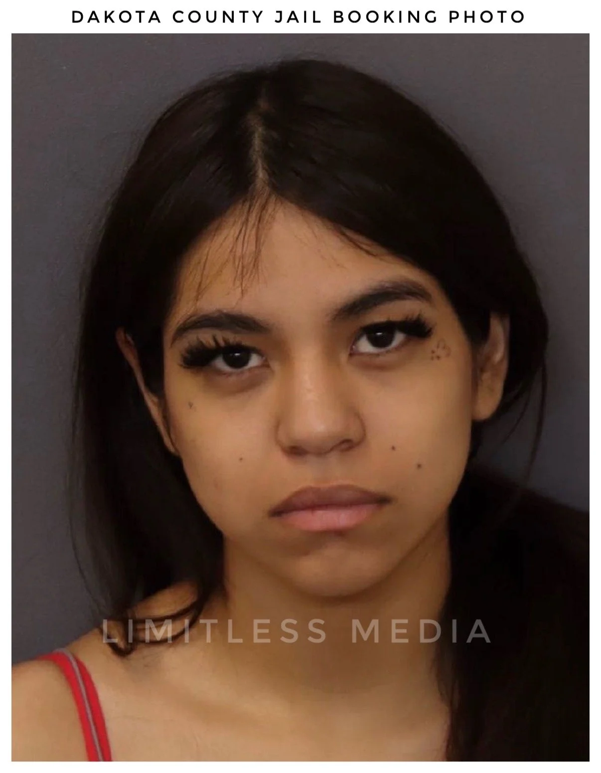 18-Year-Old Charged After Allegedly Striking Correctional Deputy Inside Dakota County Jail