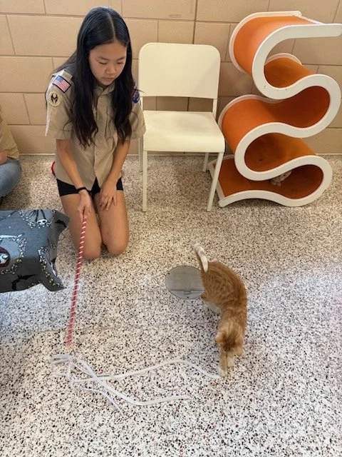 SR Cat Wand at AHS.jpg