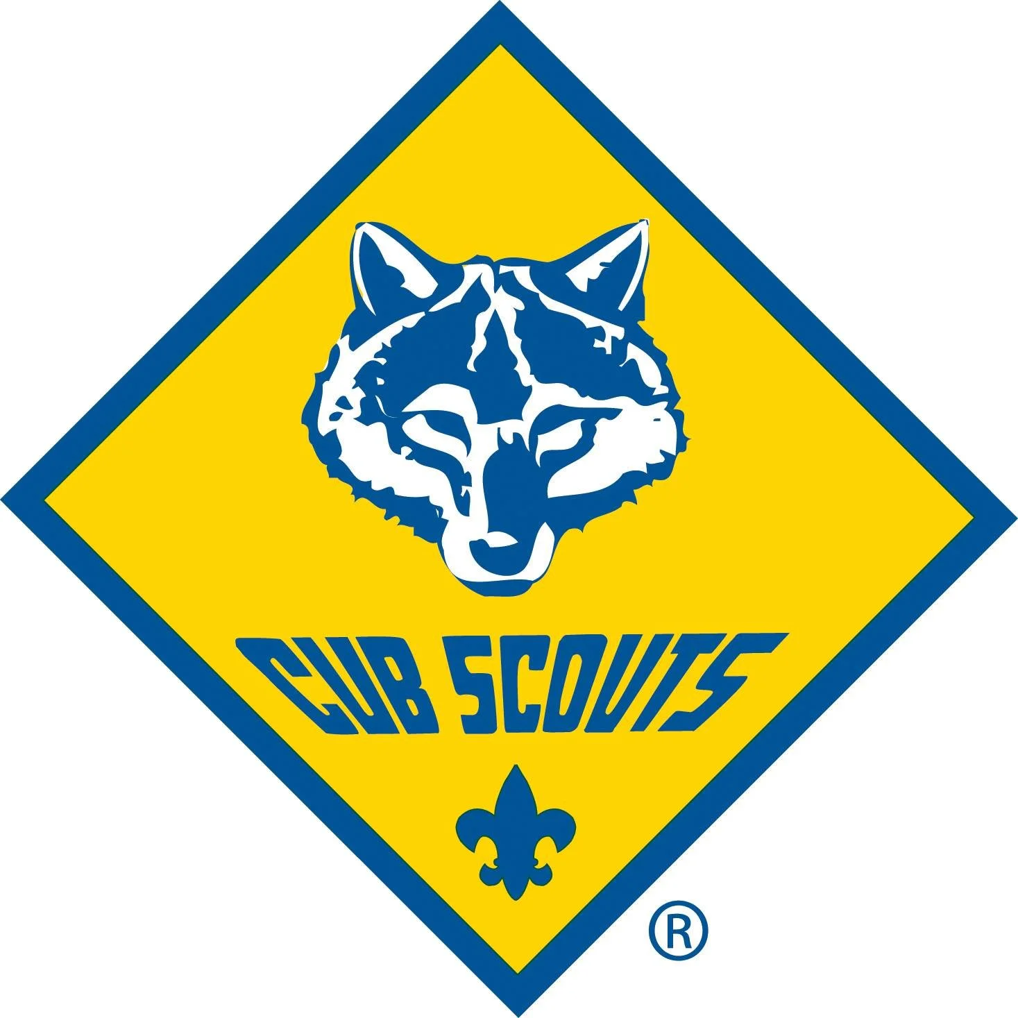 Cub Scout Pack 9227 Invites Families to Rocket Fly-Out Event at Alimagnet Park