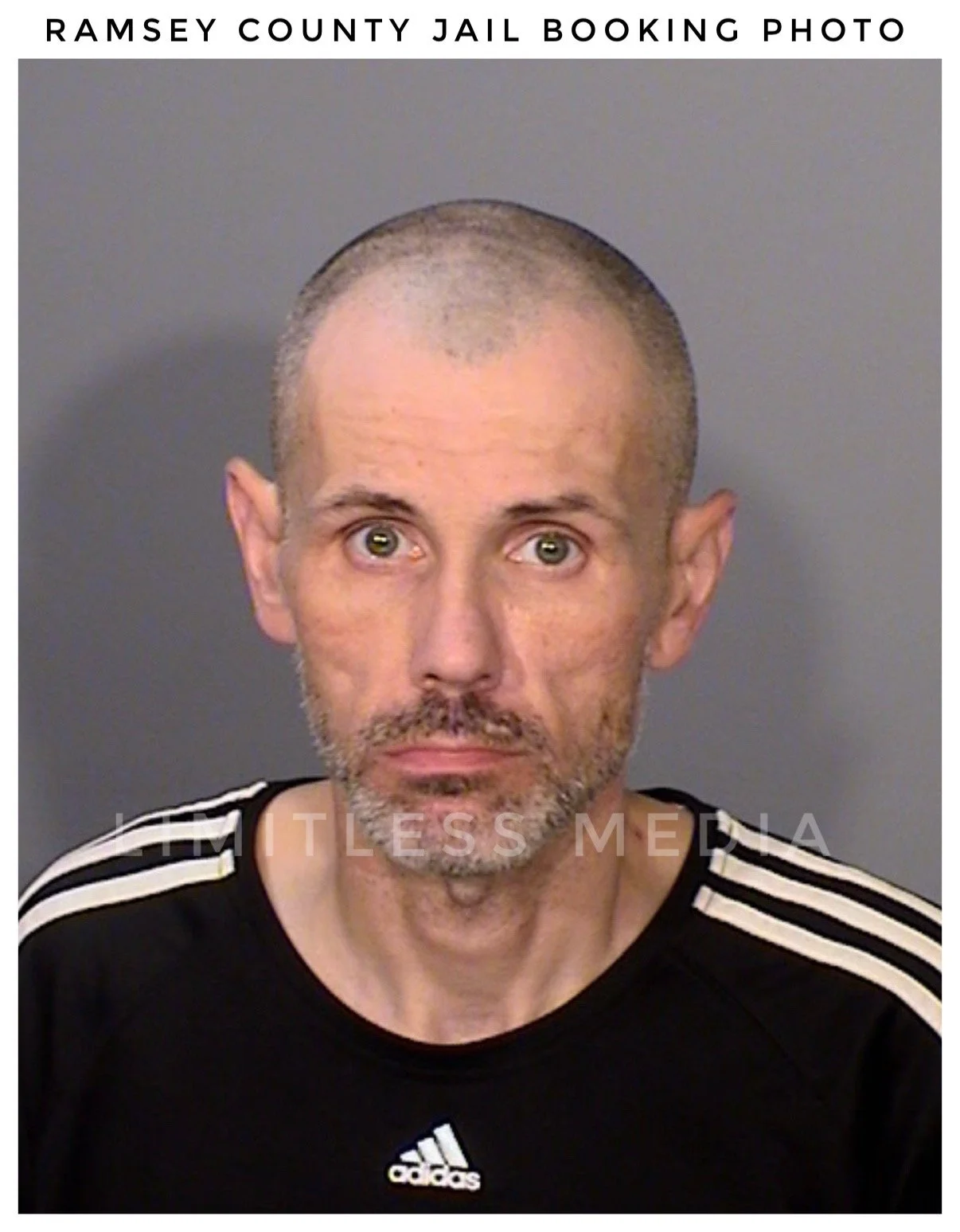 Brainerd man charged after allegedly fleeing from stolen Kia in Ramsey County