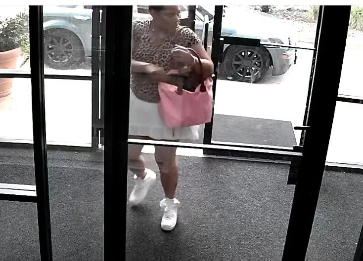 Edina Police Seek Public's Help Identifying Woman in Burglary, Mail Theft Investigation