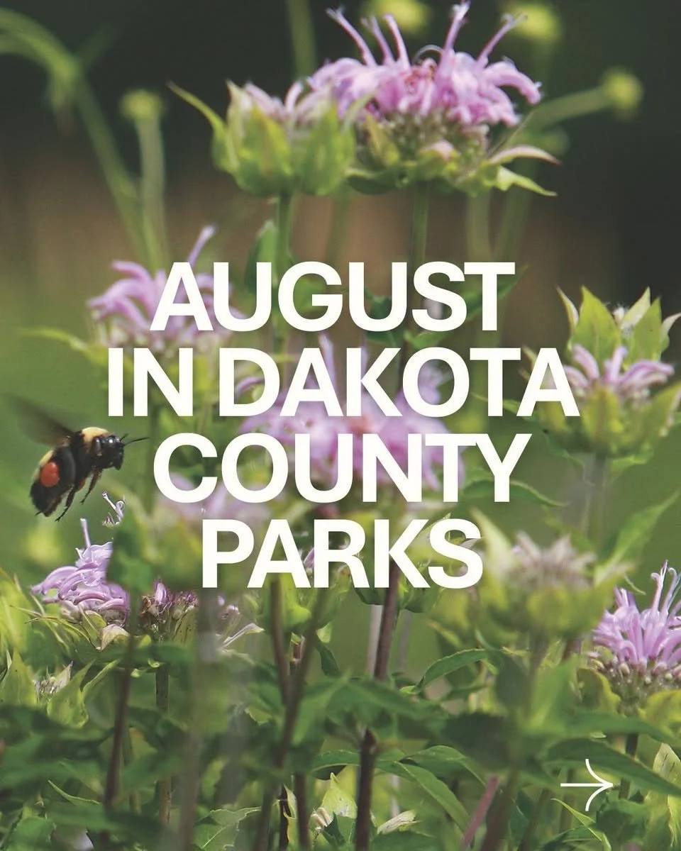 Dakota County Parks Announces Full Lineup of August Programs and Outdoor Activities