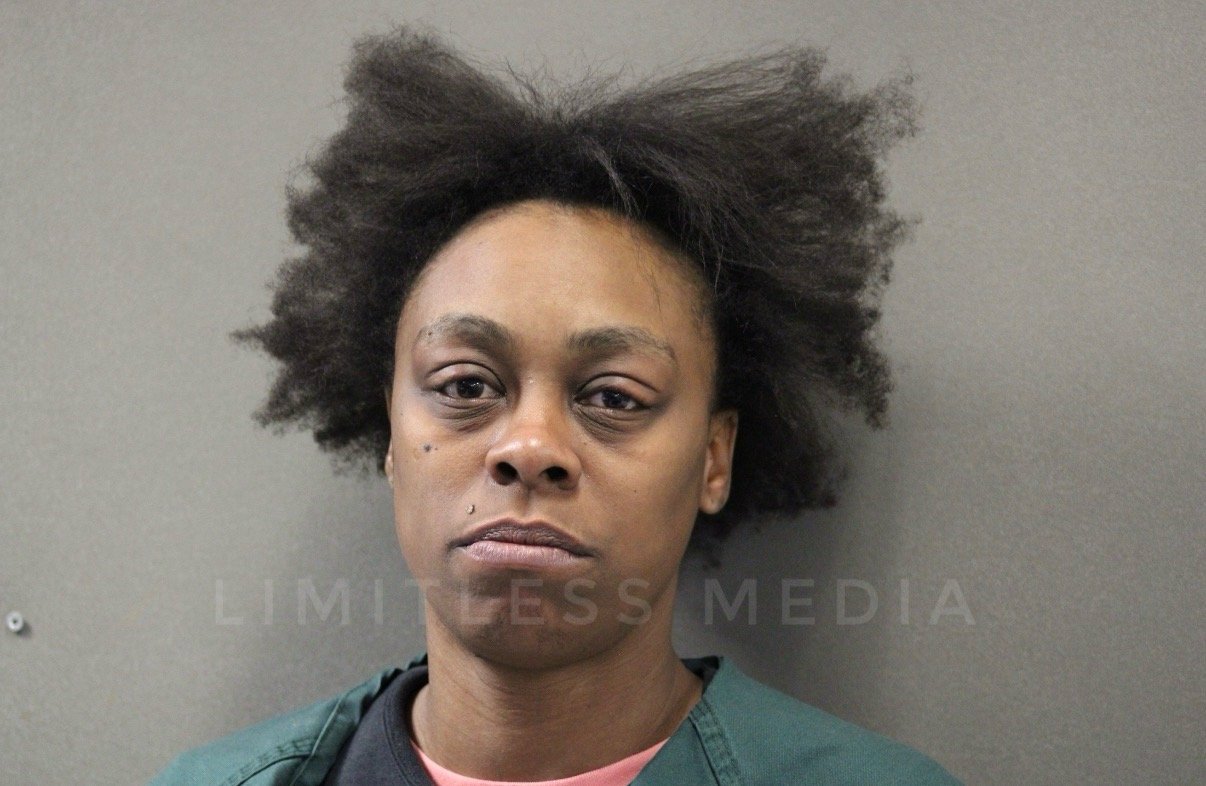 Woman Accused of Biting Officers, Assaulting Man With Pole During Chaska Disturbance