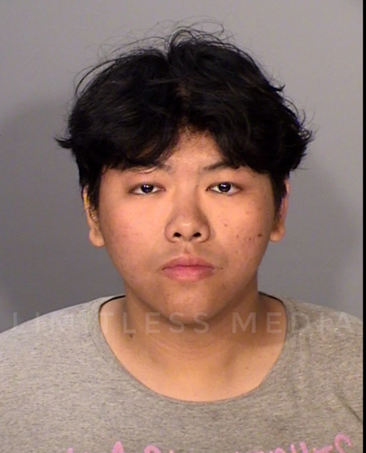 Man Charged With Criminal Sexual Conduct Following Alleged Incident at Maplewood Park
