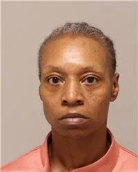 Woman Charged After Allegedly Assaulting Woman, Court Security Deputy Inside Anoka County Courtroom