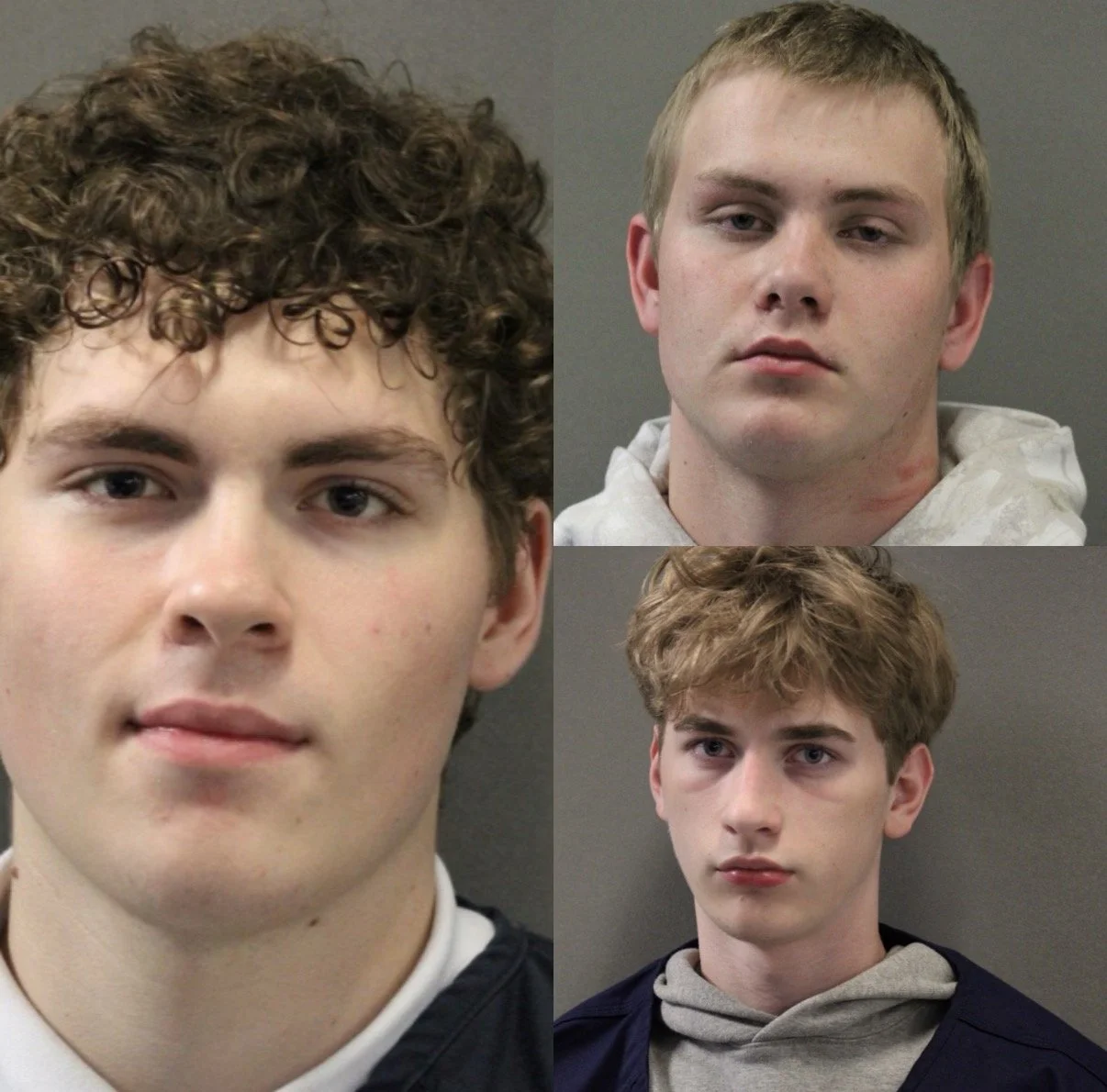 Three Charged After Group Allegedly Breaks Into Chaska Conference Center 