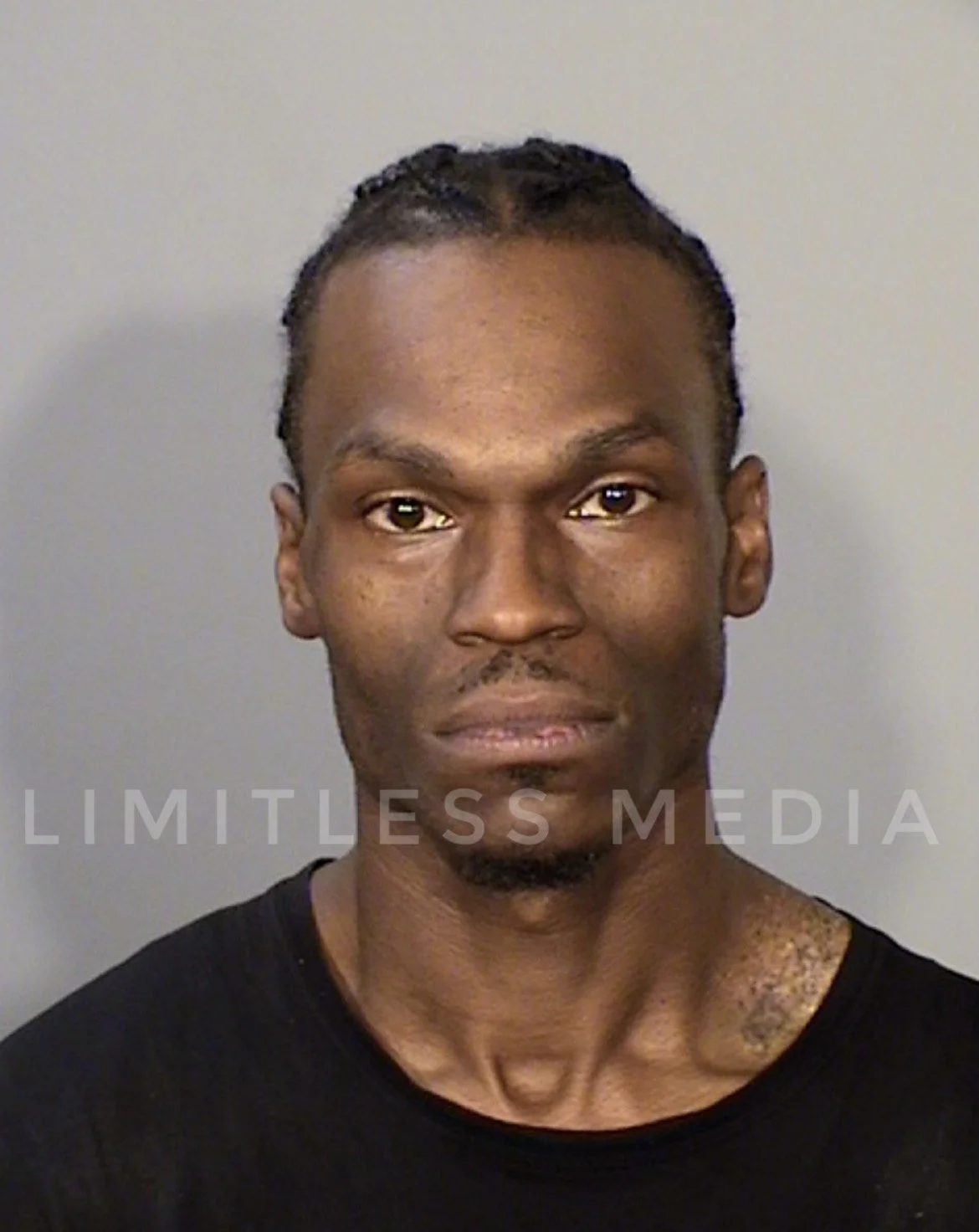 St. Paul Man Charged With Four Felonies After Allegedly Strangling Woman, Attacking Two Dogs