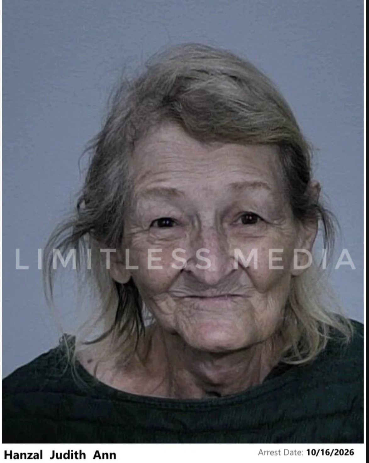Forest Lake Woman, 78, Charged With Felony Assault After Allegedly Stabbing Man With Butcher Knife