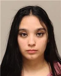 Woman Charged With Felony Fleeing, DWI After Allegedly Reaching Speeds of 100 MPH in Columbia Heights