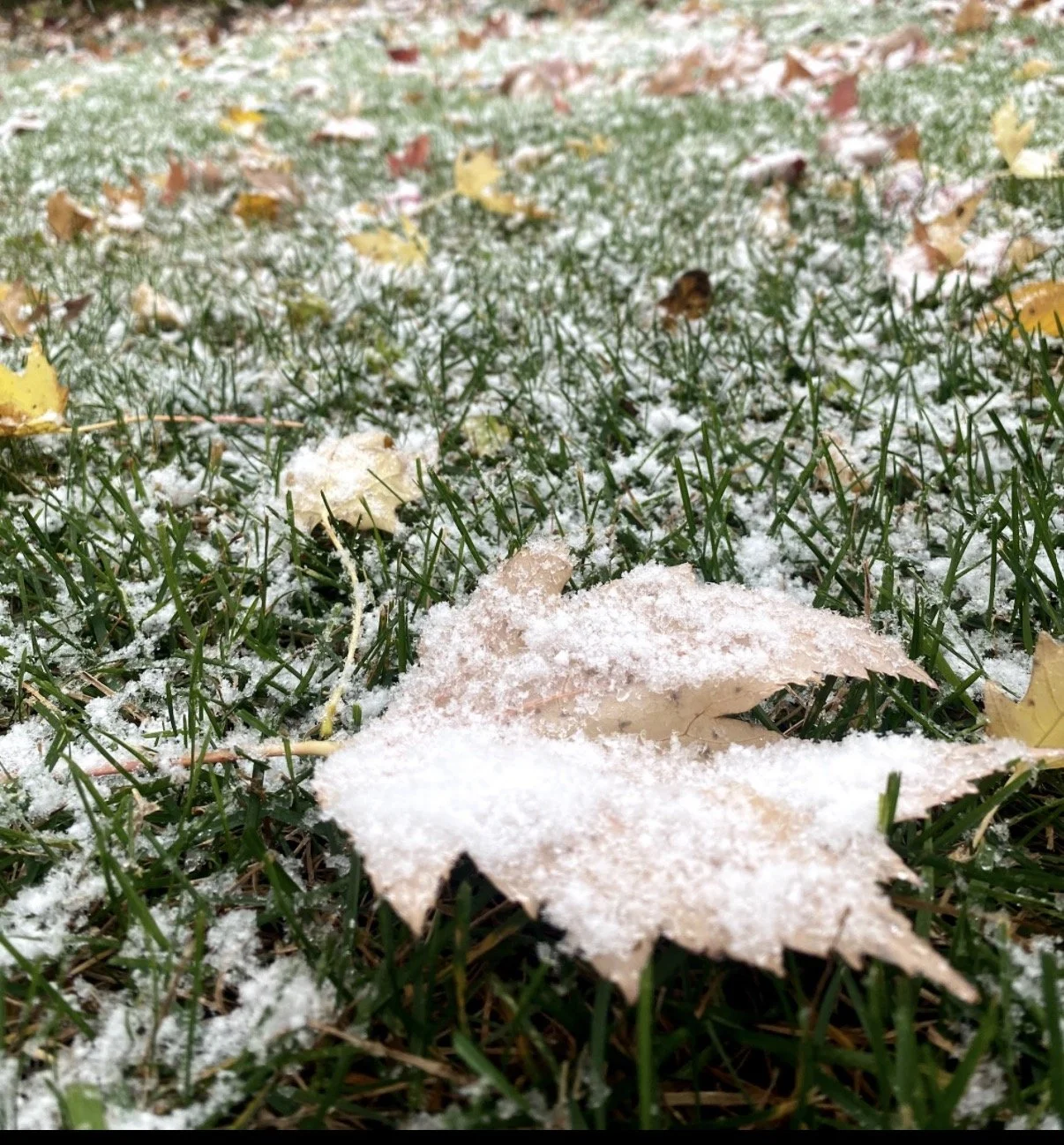 Six Years Ago Today: Historic October Snowstorm Dumped Nearly 8 Inches on Twin Cities