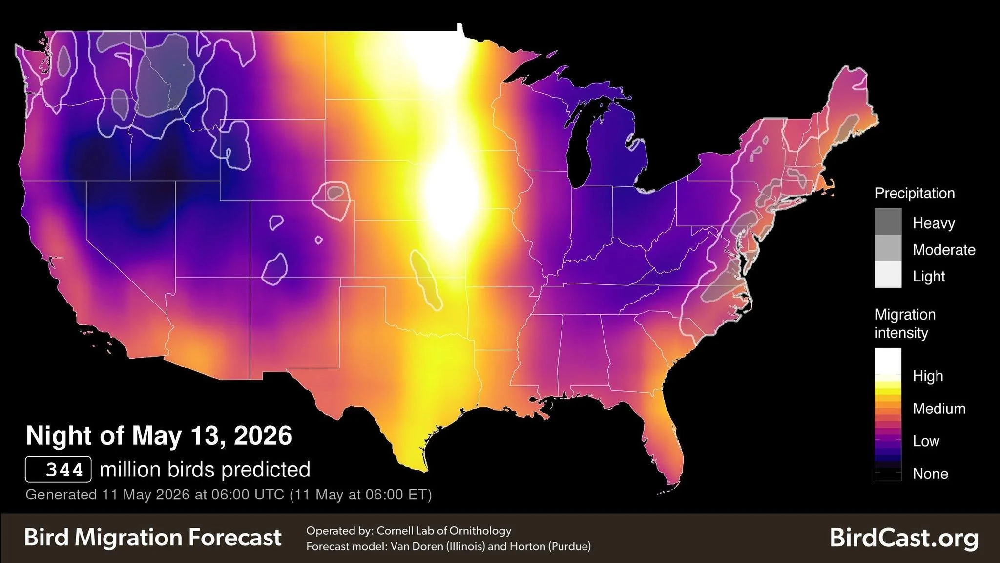 344 Million Birds Expected to Migrate Overnight, Minnesotans Asked to Turn Off Non-Essential Lights