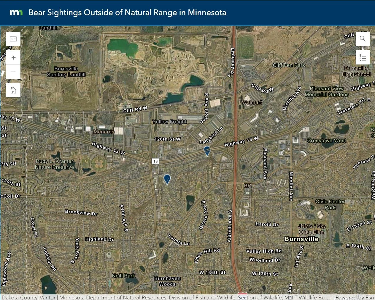 Bear on the Move: Black Bear Sighted in Burnsville Following Reports ...