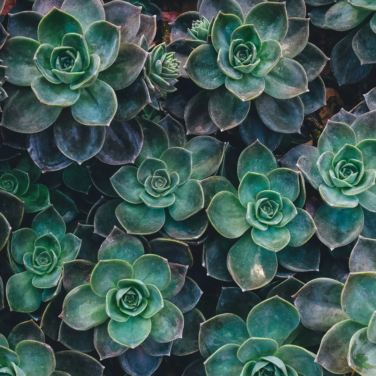 individual therapy for relationships