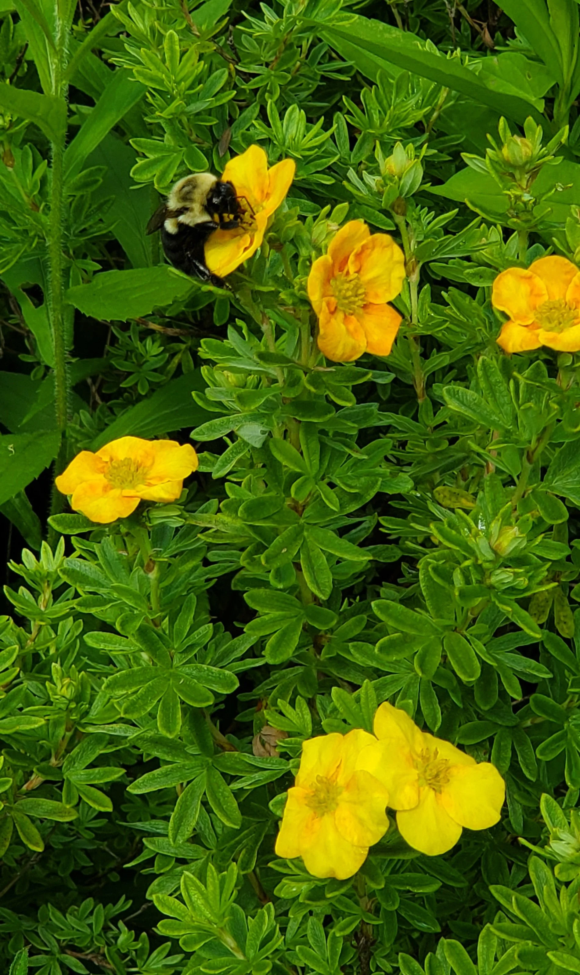 20250704_101756.jpg