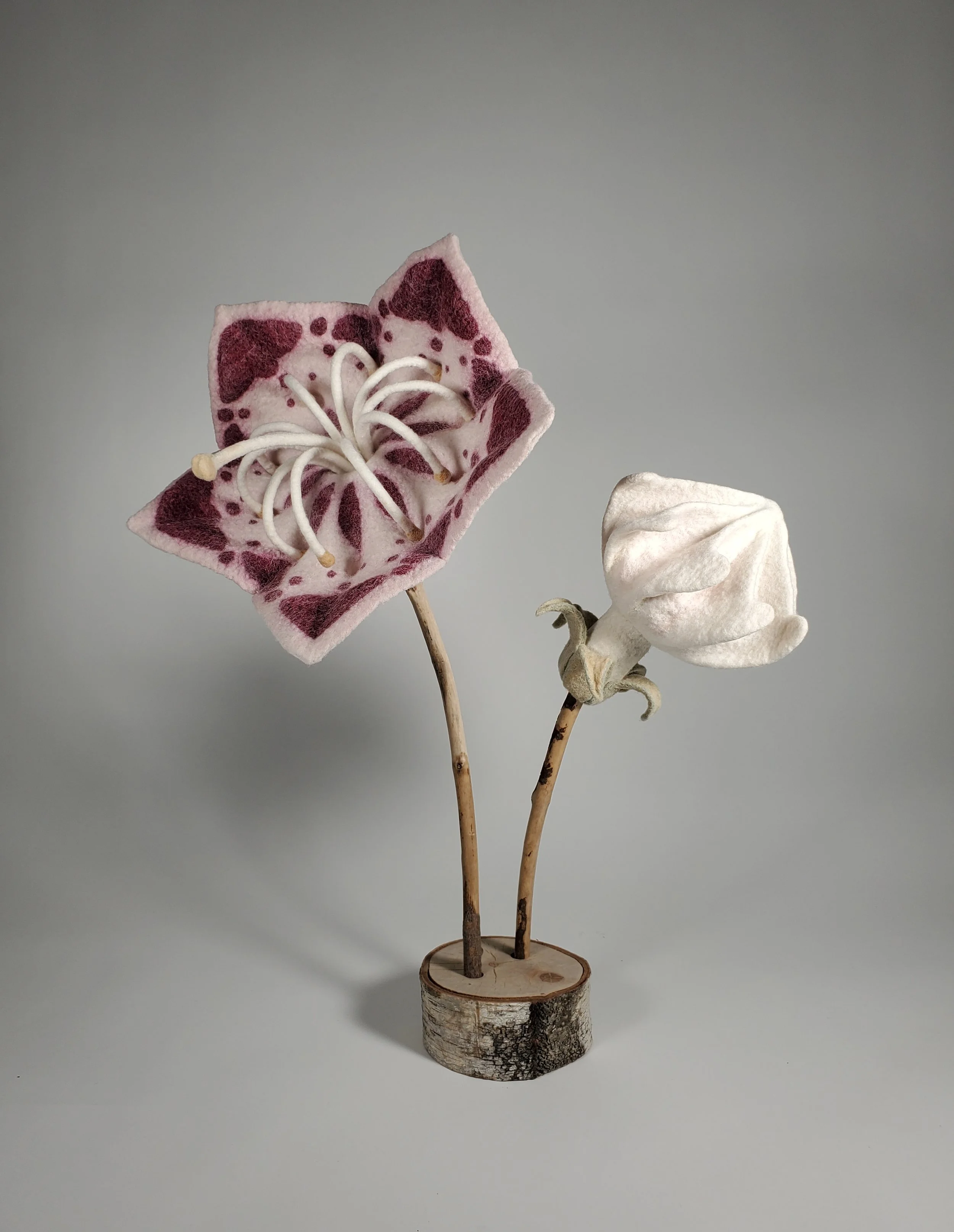 Exhibition: ‘In Residence’ at the Charlotte Street Arts Centre