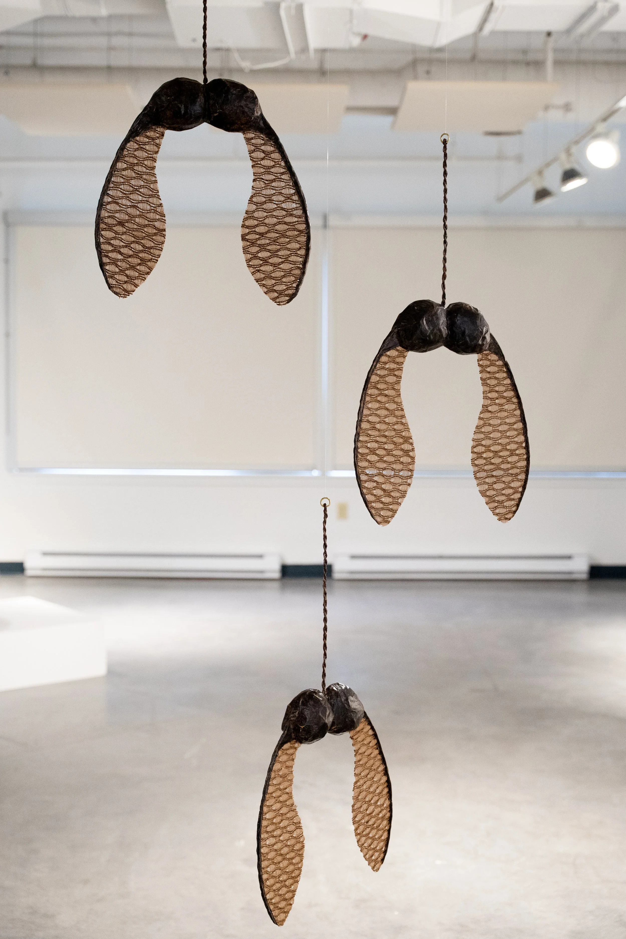 GroundRules-Exhibition-2026-34.jpg