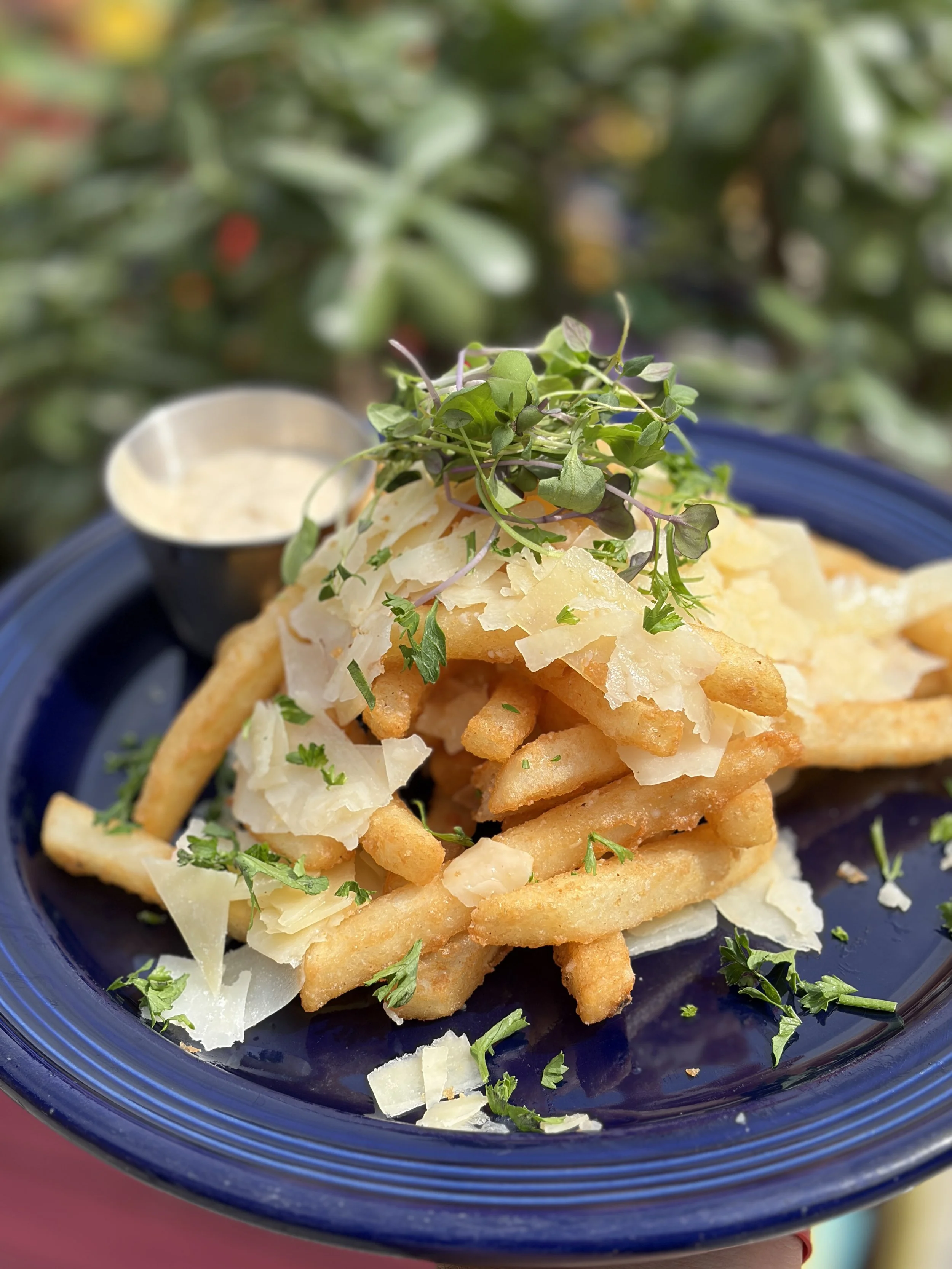 parmesan truffle fries