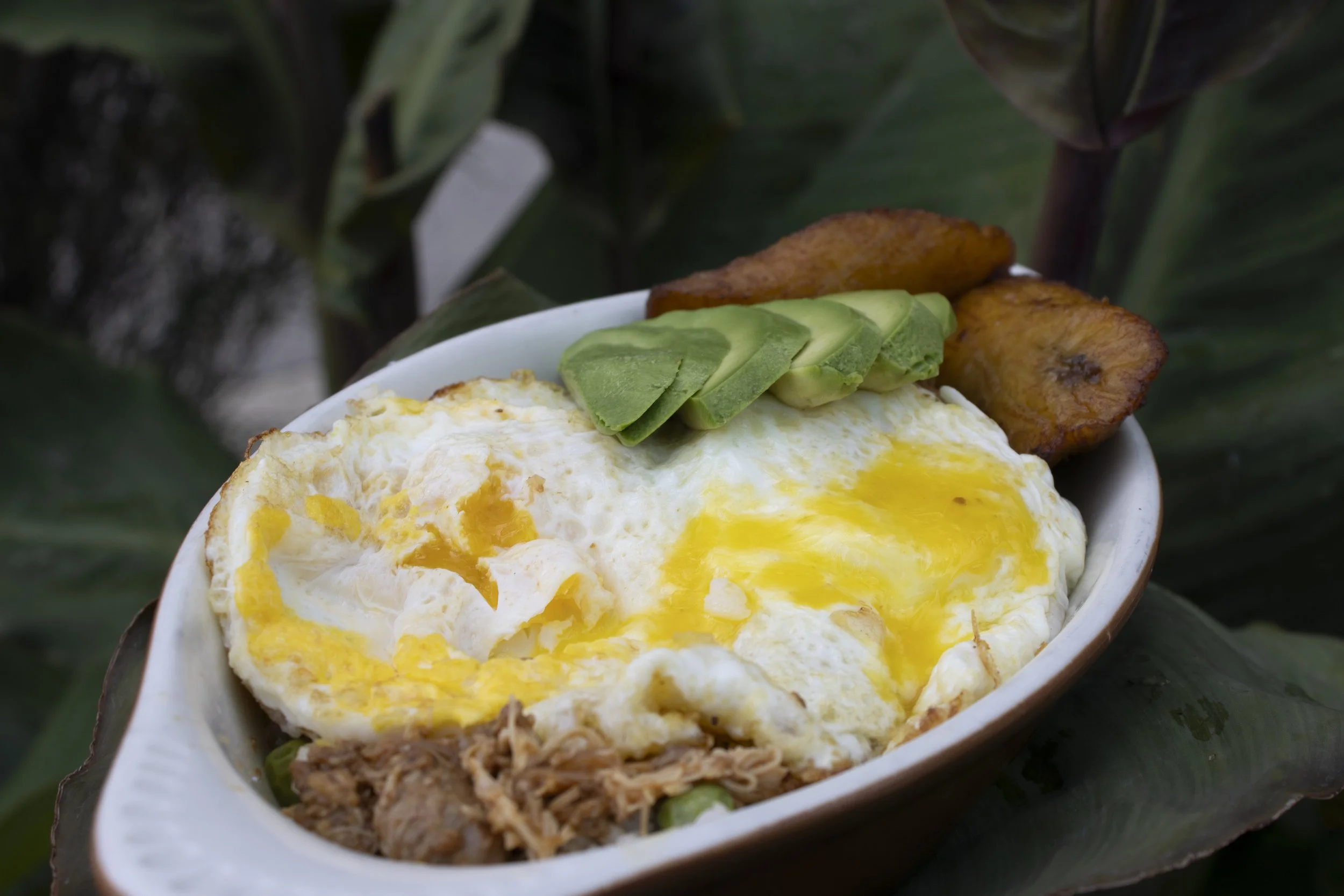 rice bowl w/ chicken