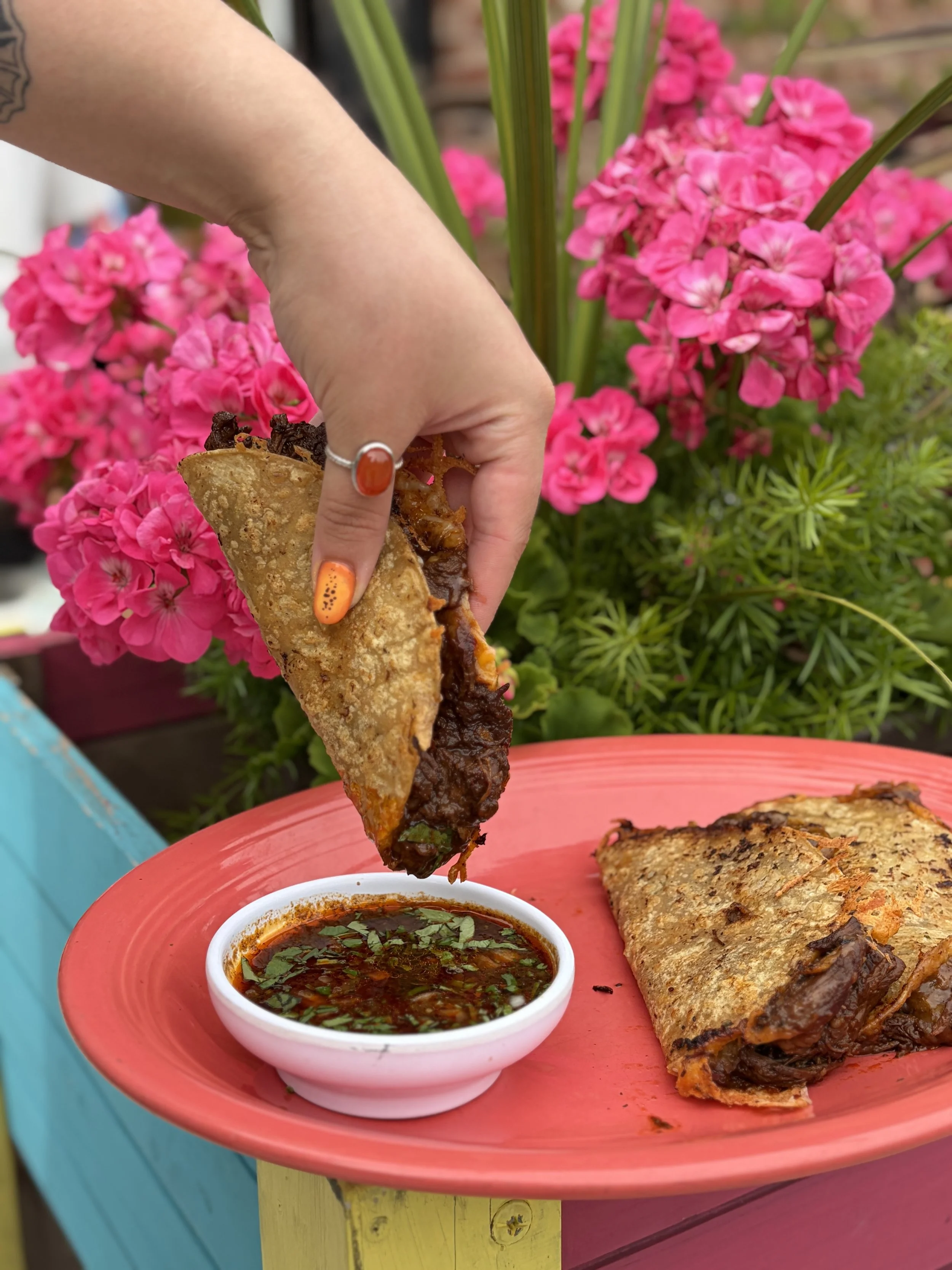 quesa birria tacos