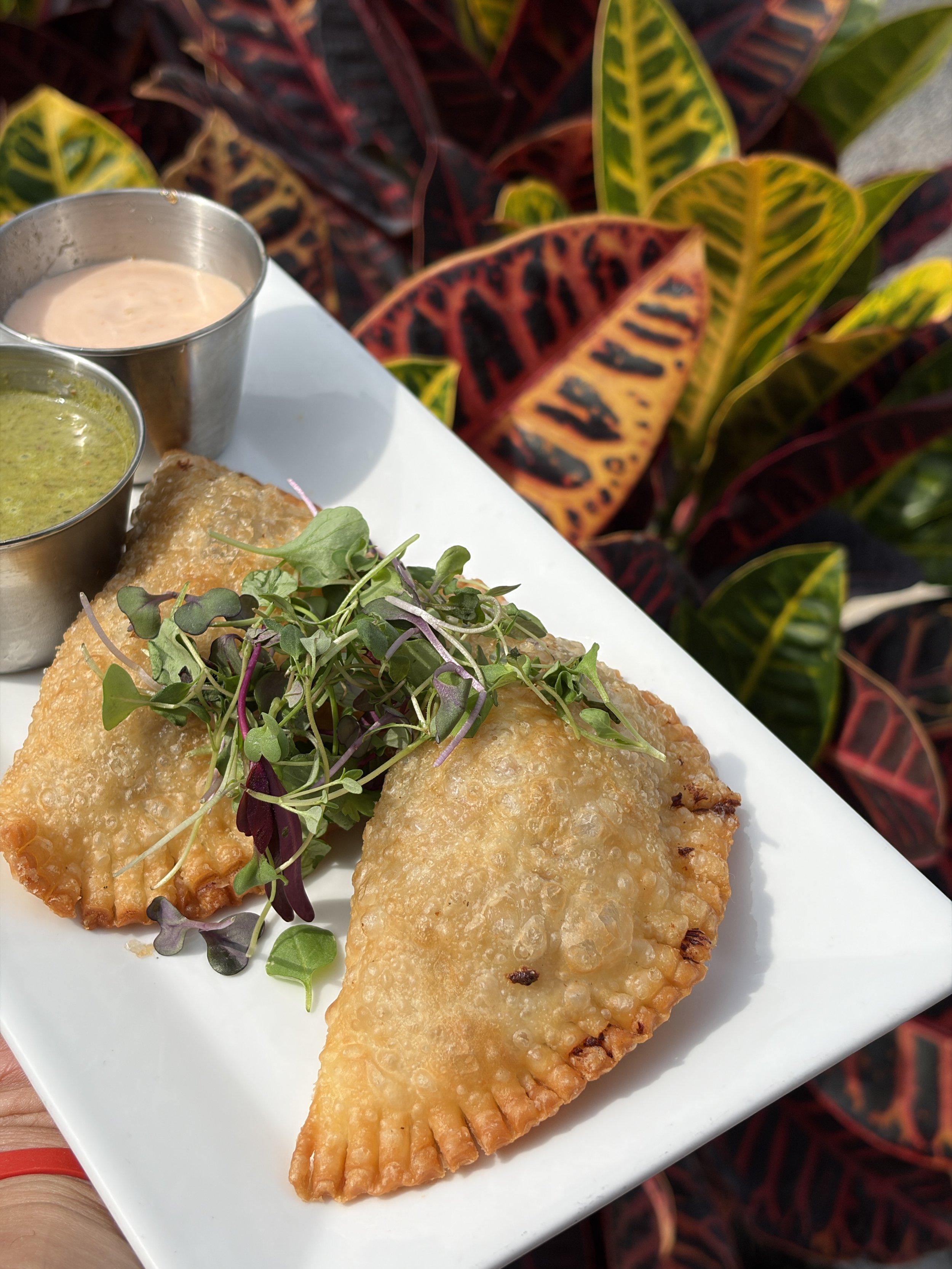empanadas
