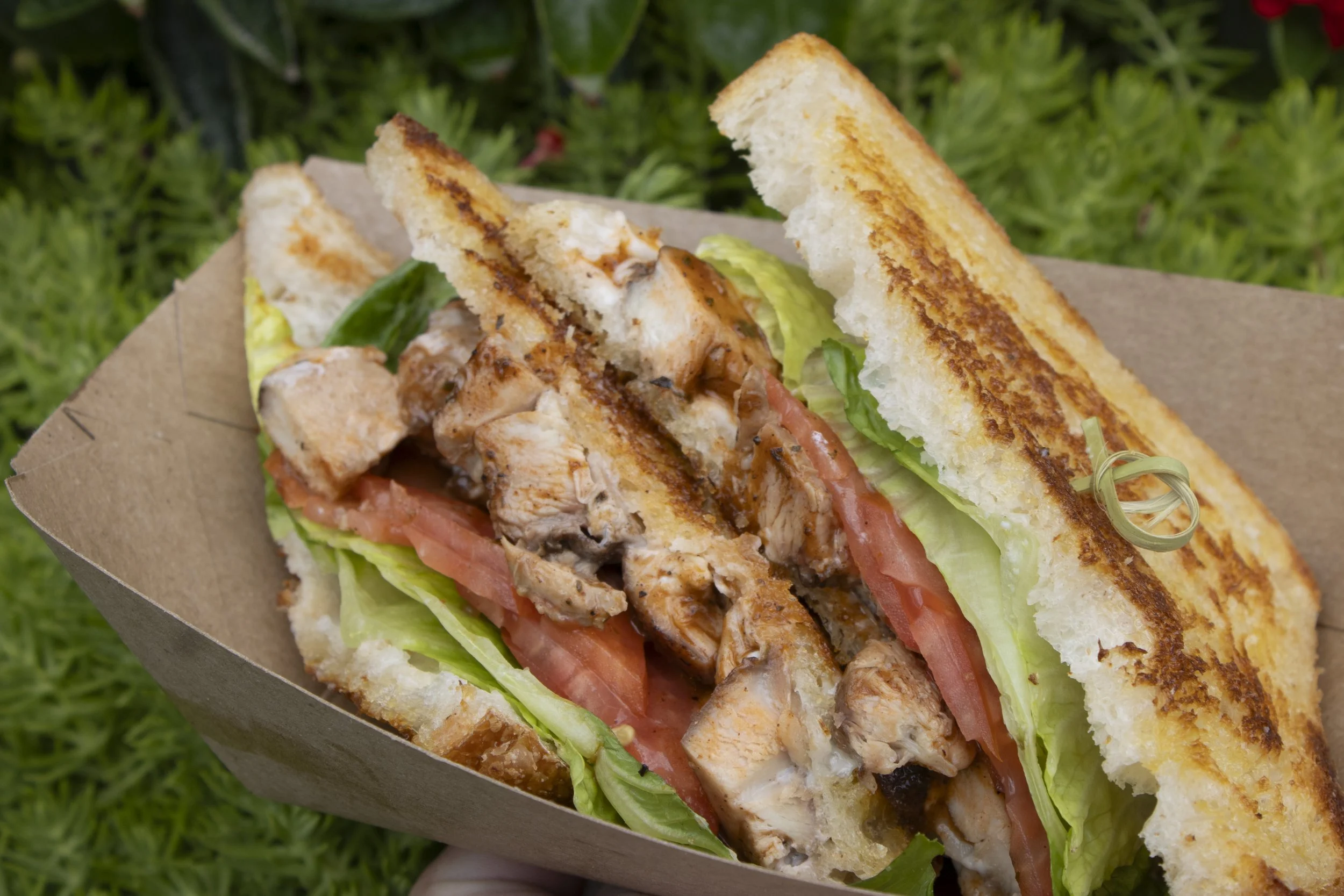 jerk chicken sandwich