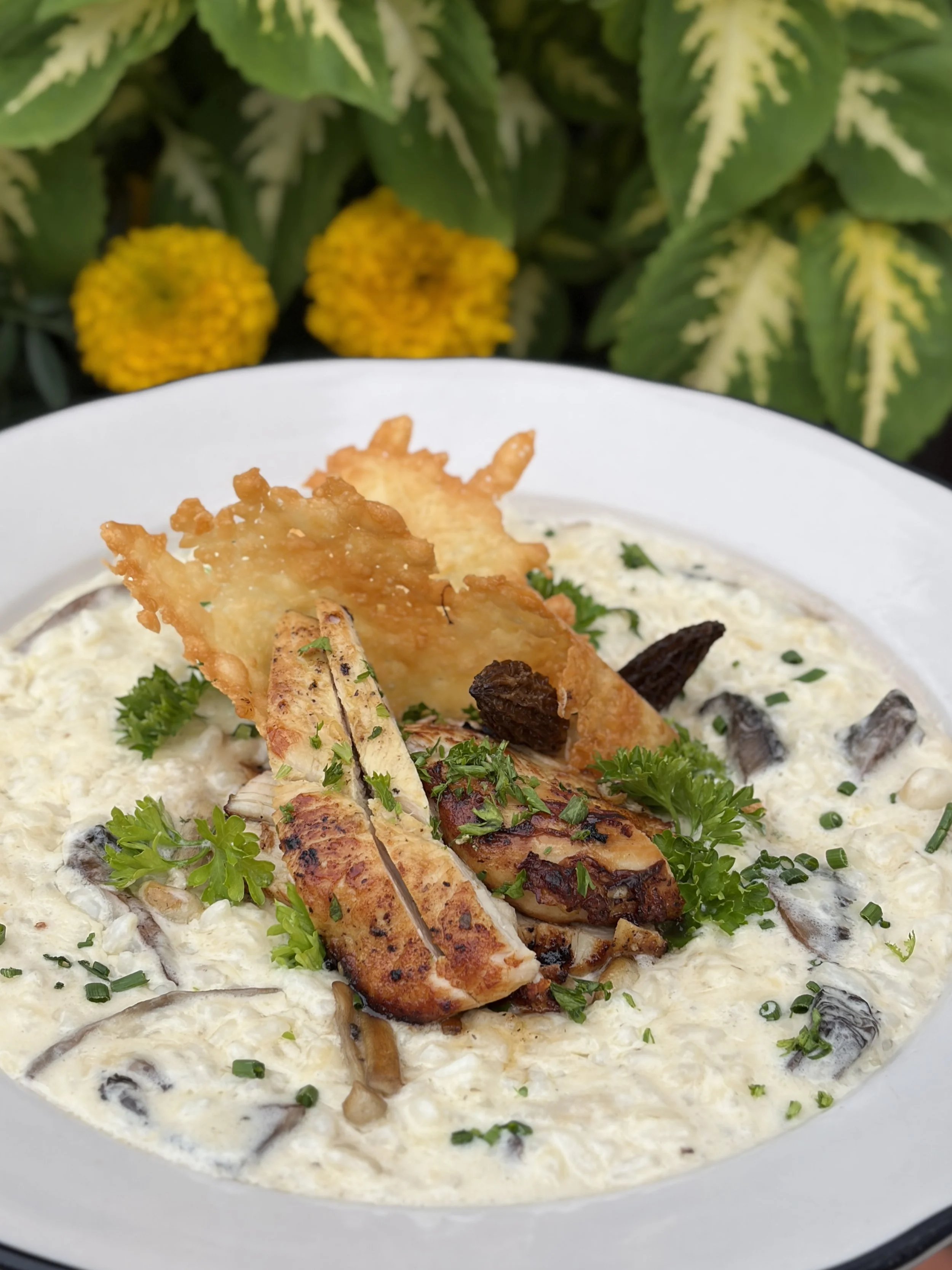 risoto del bosque