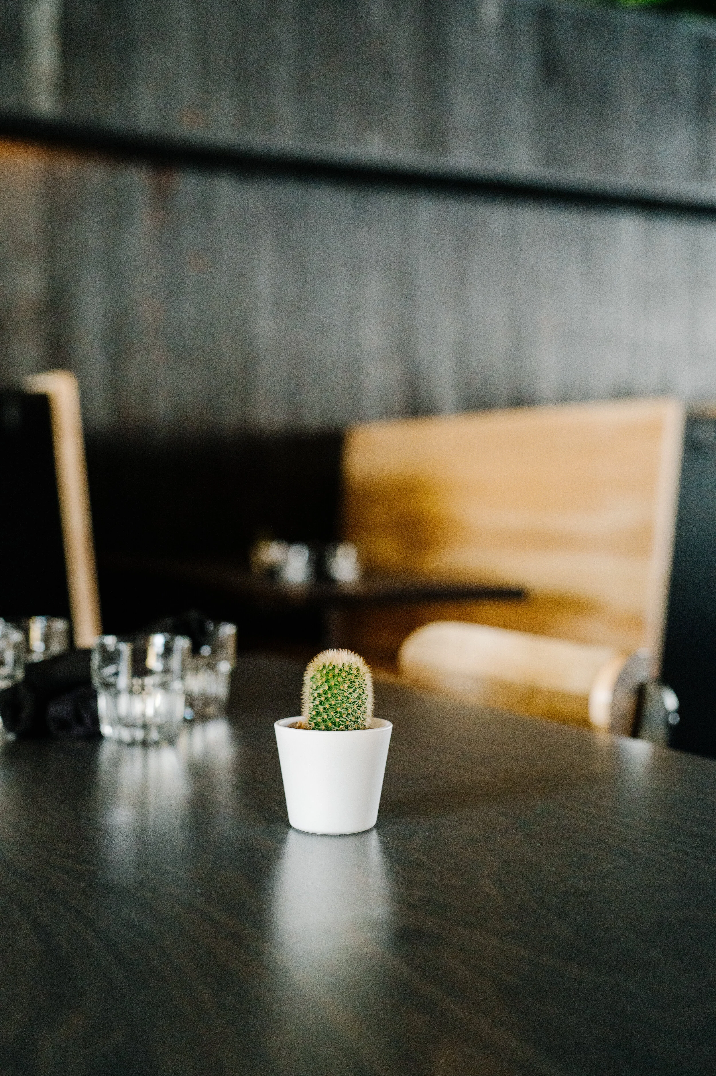 DiaCafe-Noche-102.jpg