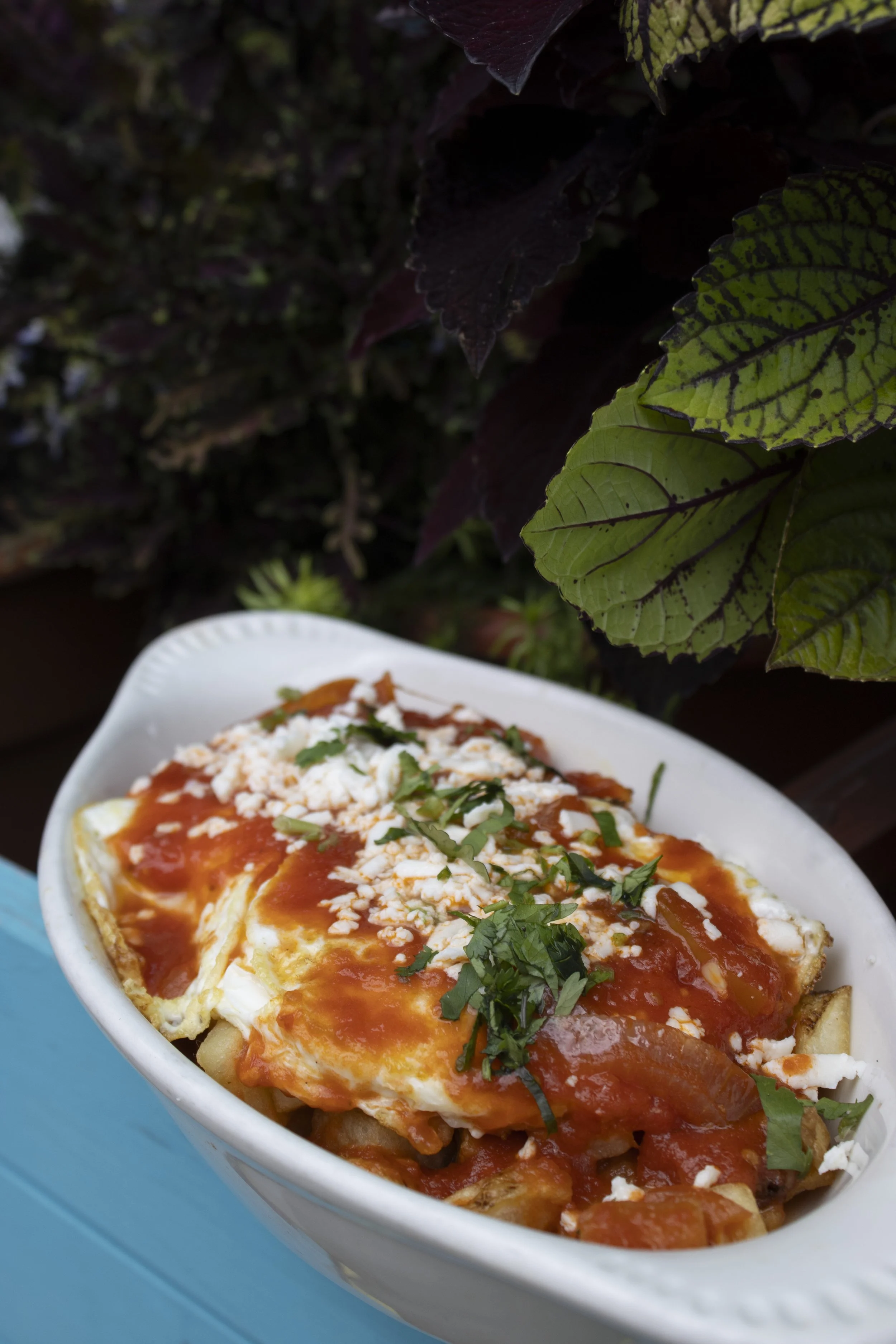 ranchero bowl
