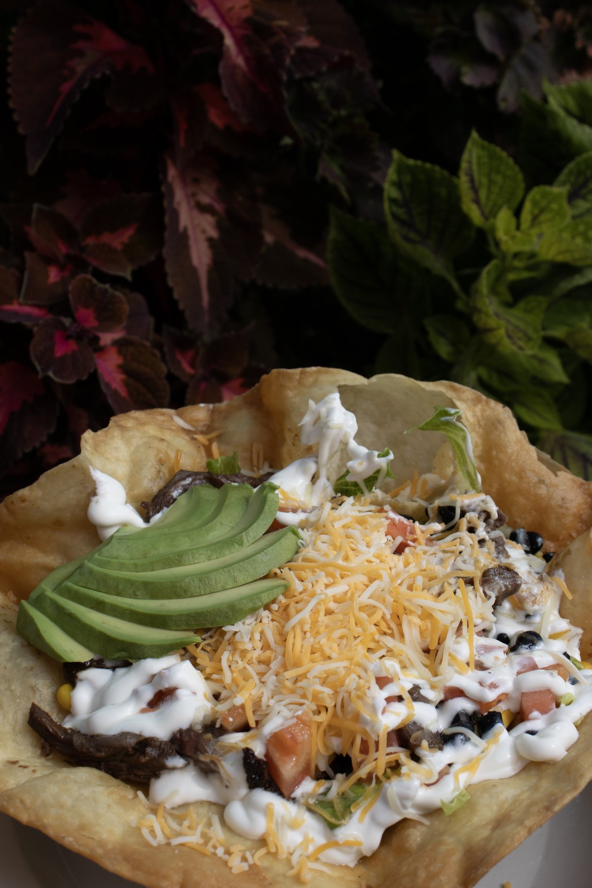 ensalada taco