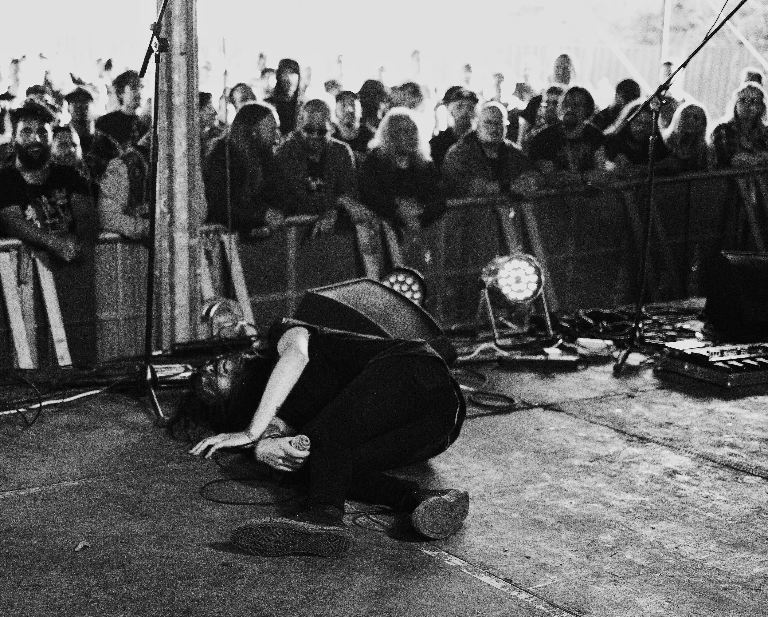 Letters From The Colony.jpeg