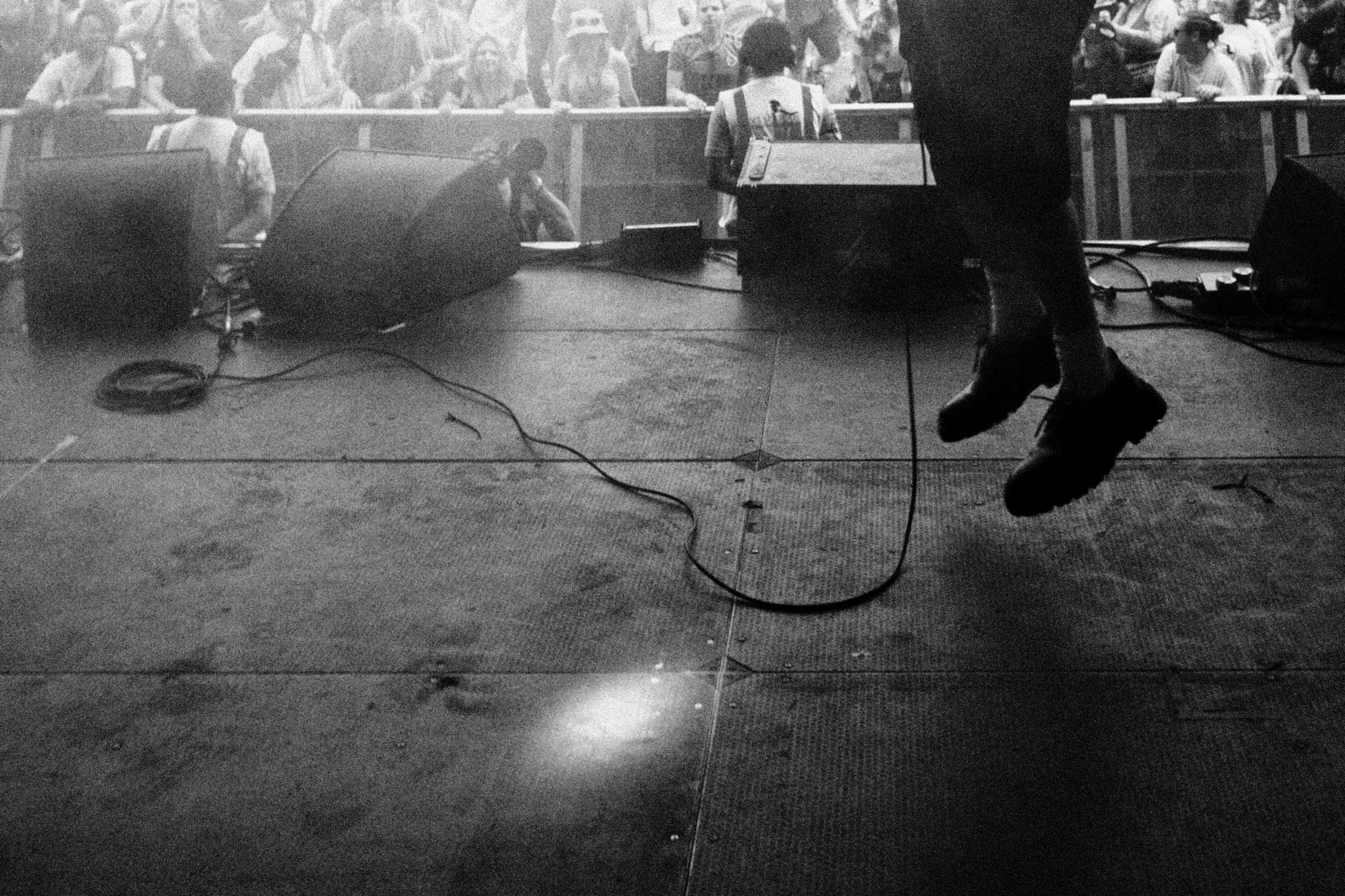 LIN 2000 Trees-9-02.jpeg