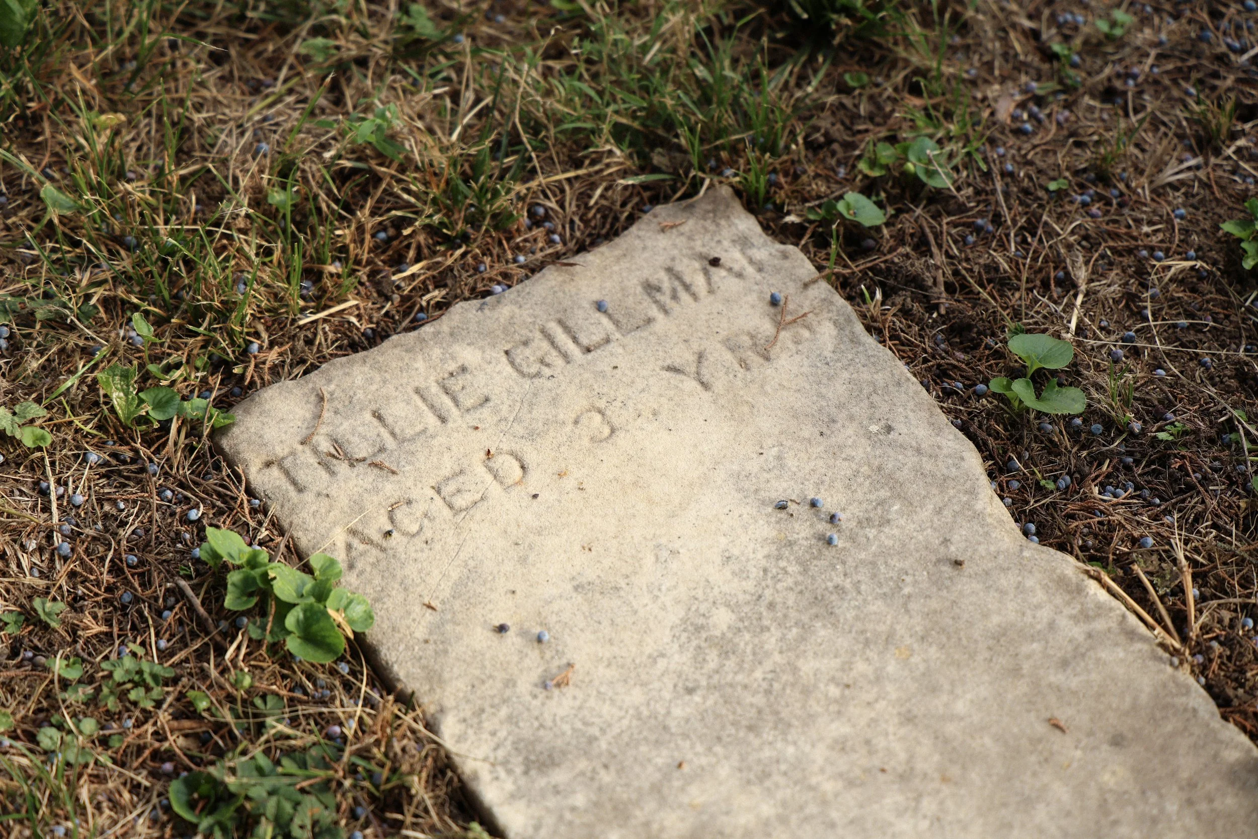 Tillie Gillmar passed away at the age of three. Her dates of birth and death are unknown.