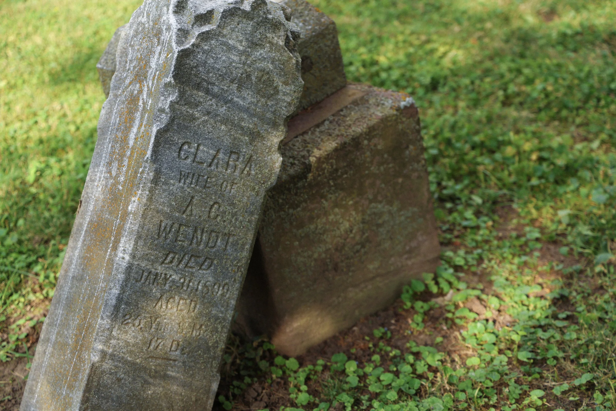 Clara Dritschler Wendt arrived in New York City from Germany in 1878 when she was only four years old. Before marriage, she worked as a clerk and seamstress. She died in 1899 at the age of either 24 or 25.