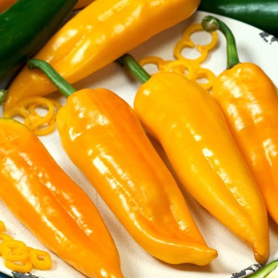yellow-corno-di-toro-pepper-2.jpeg